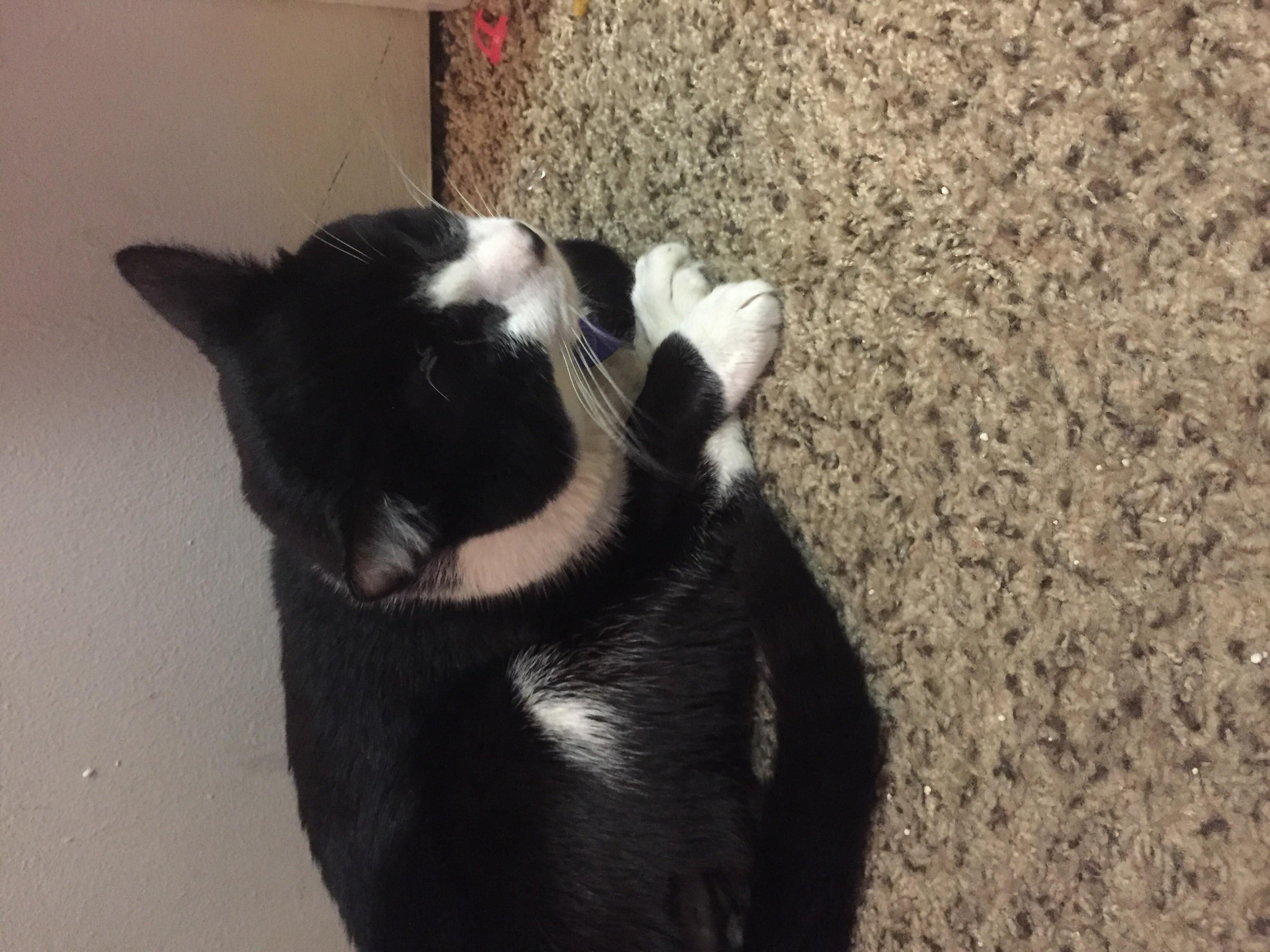 Question details sensitive content