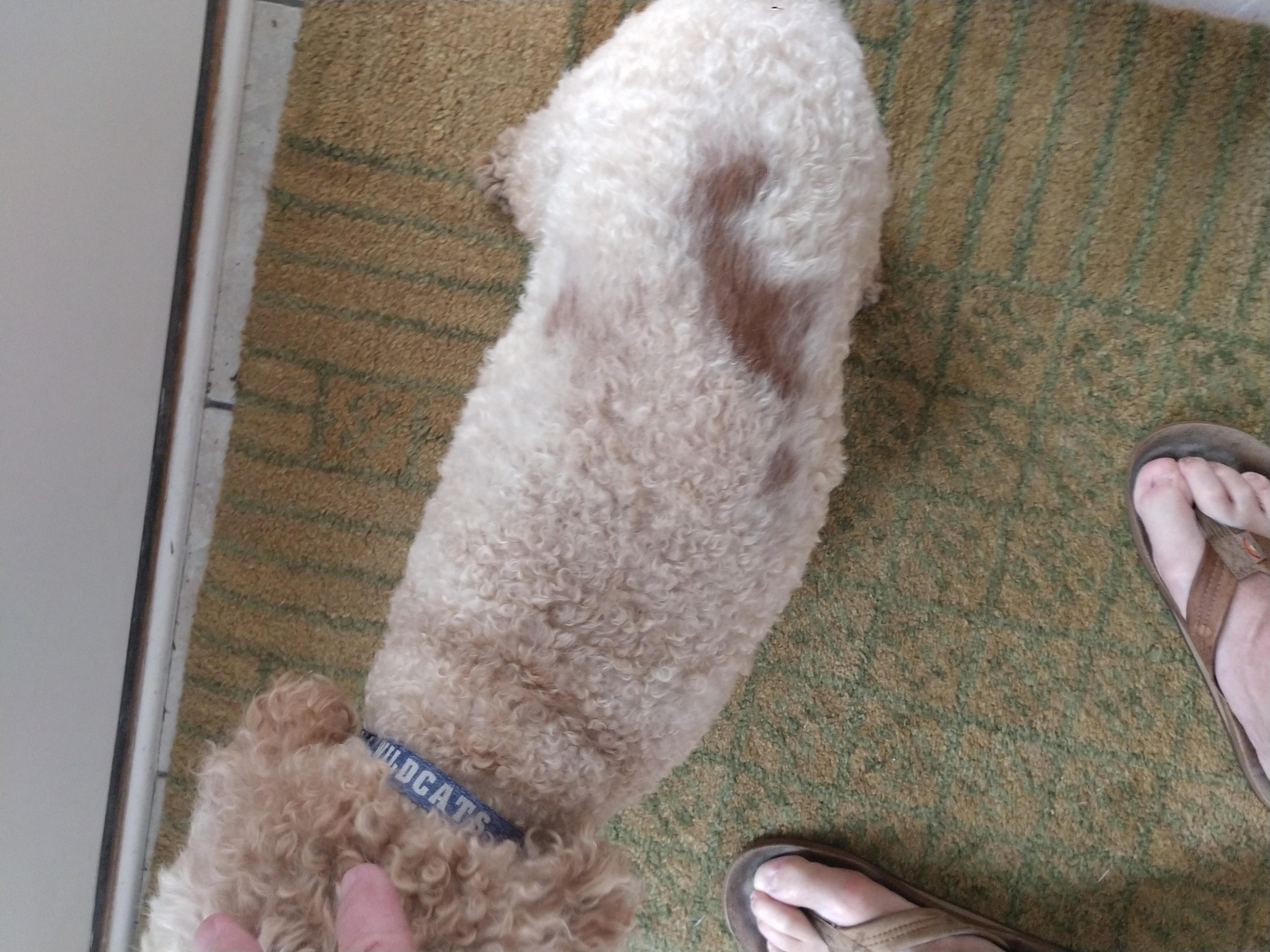 Question details sensitive content