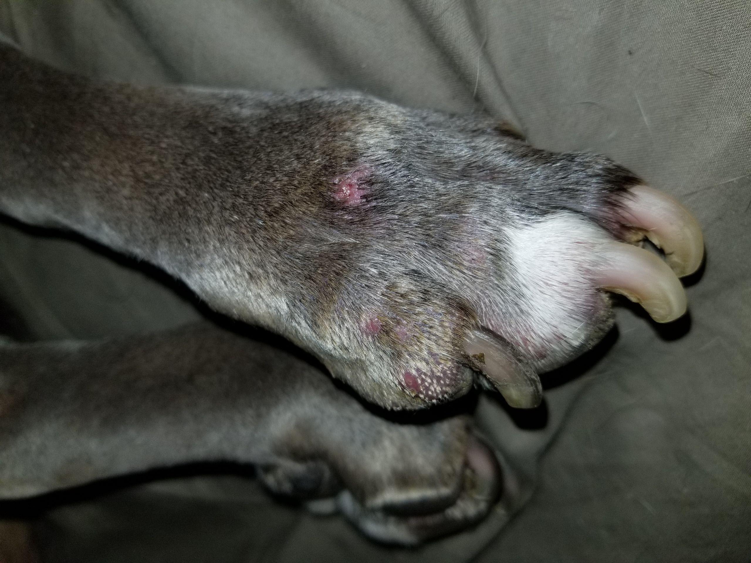 Question details sensitive content