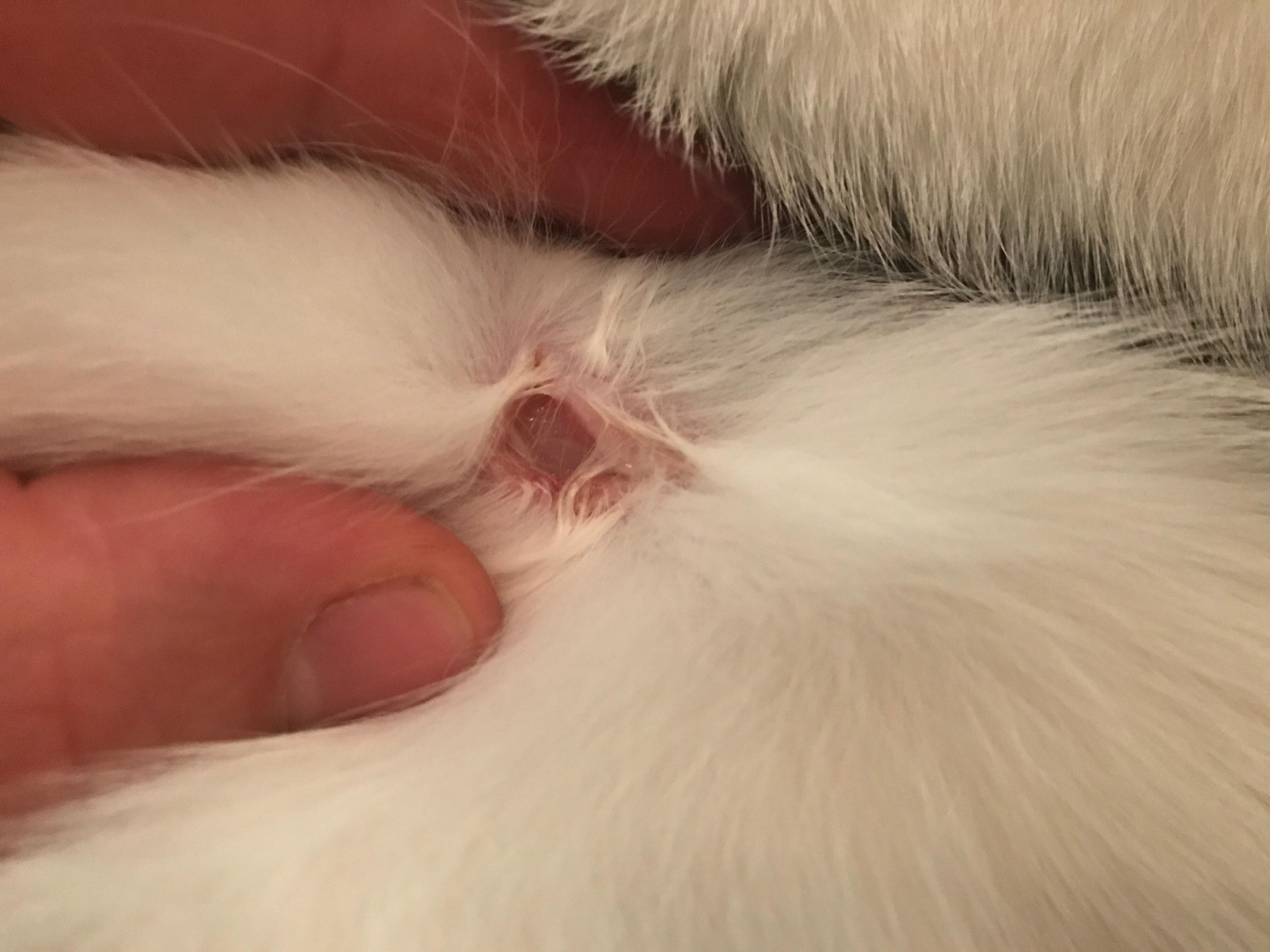 Question details sensitive content