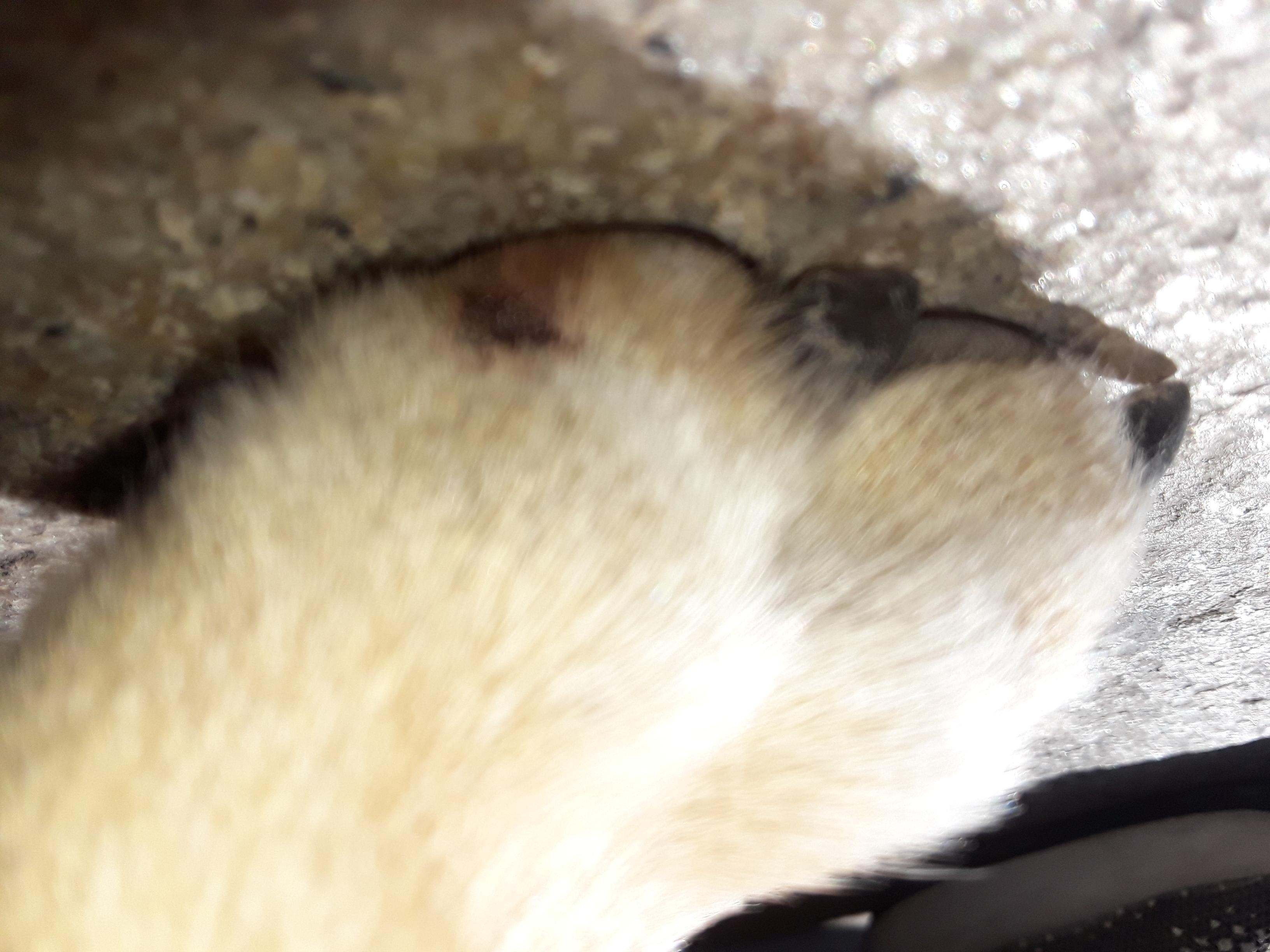 Question details sensitive content