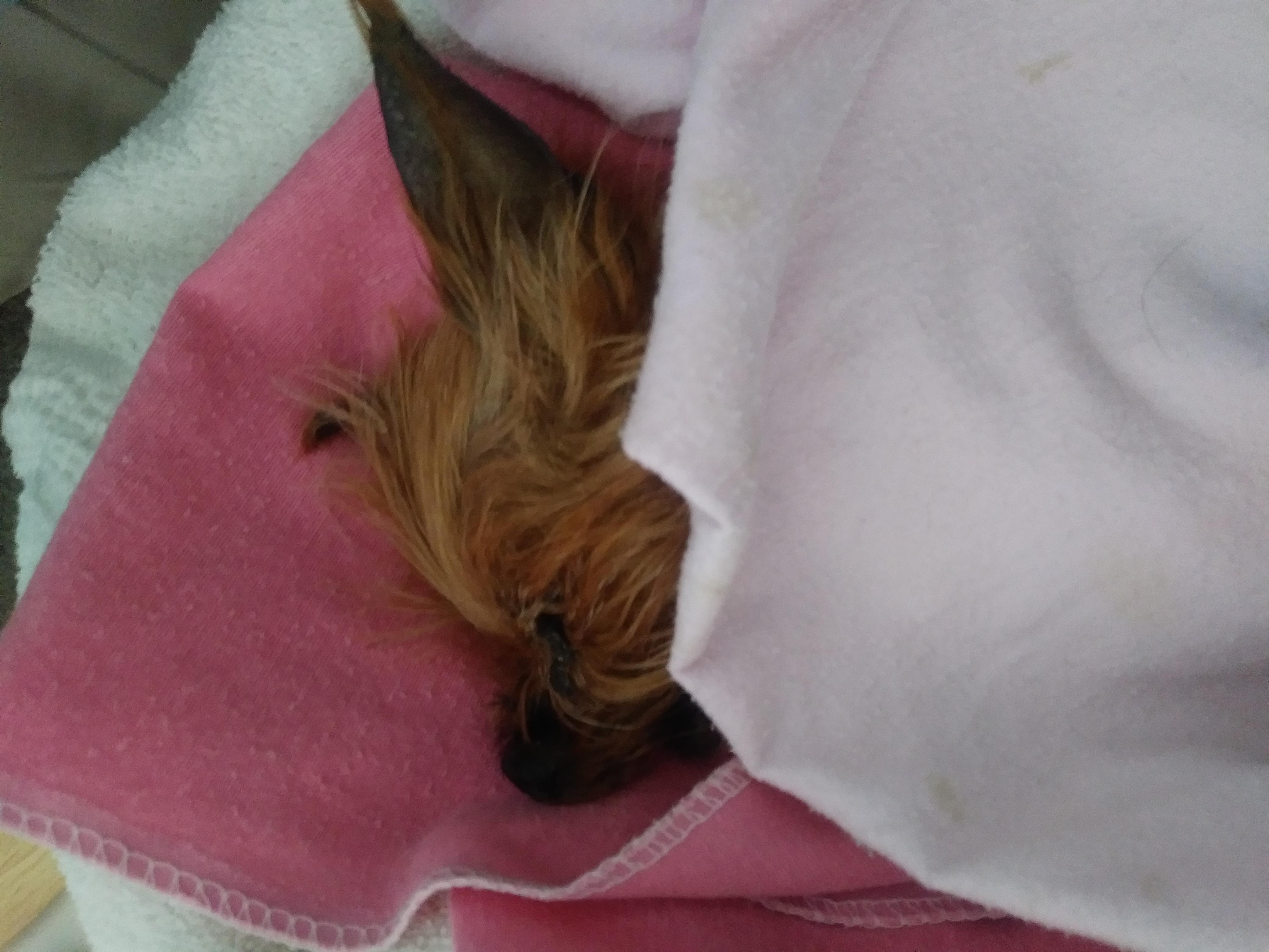 Question details sensitive content