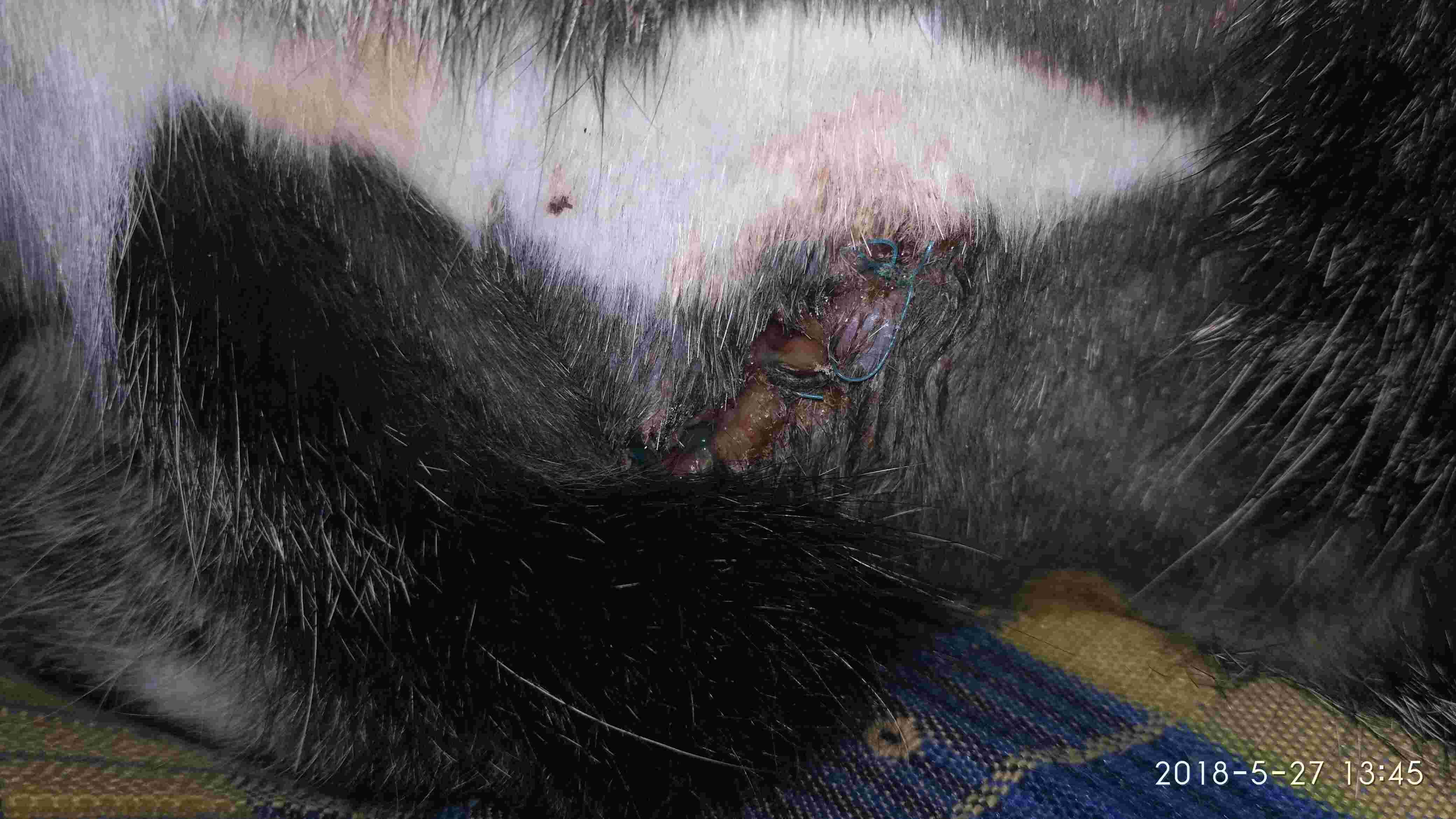 Question details sensitive content