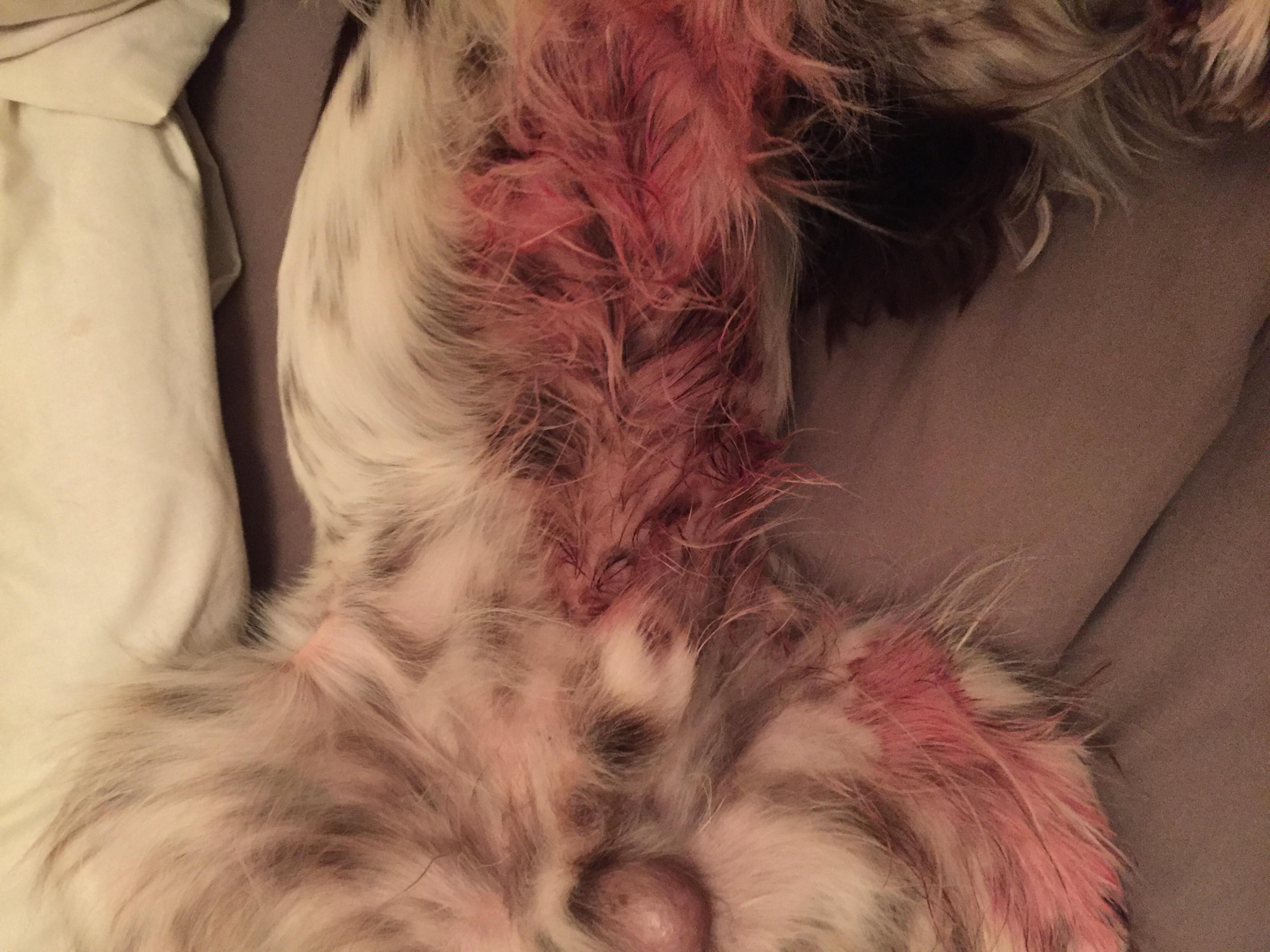 Question details sensitive content