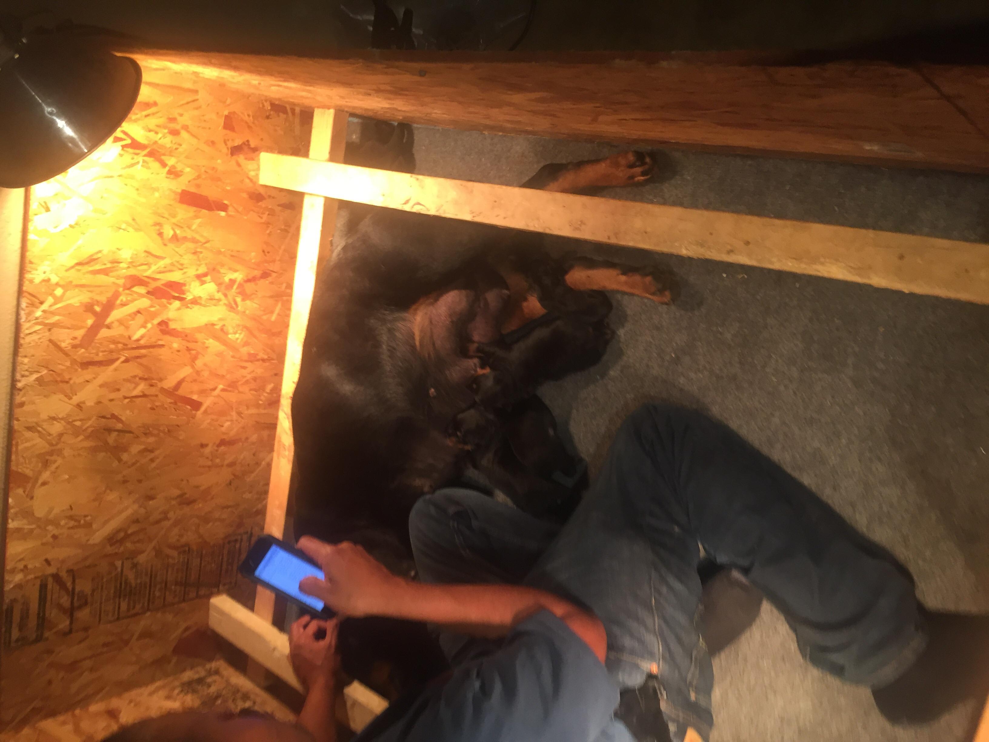 Question details sensitive content