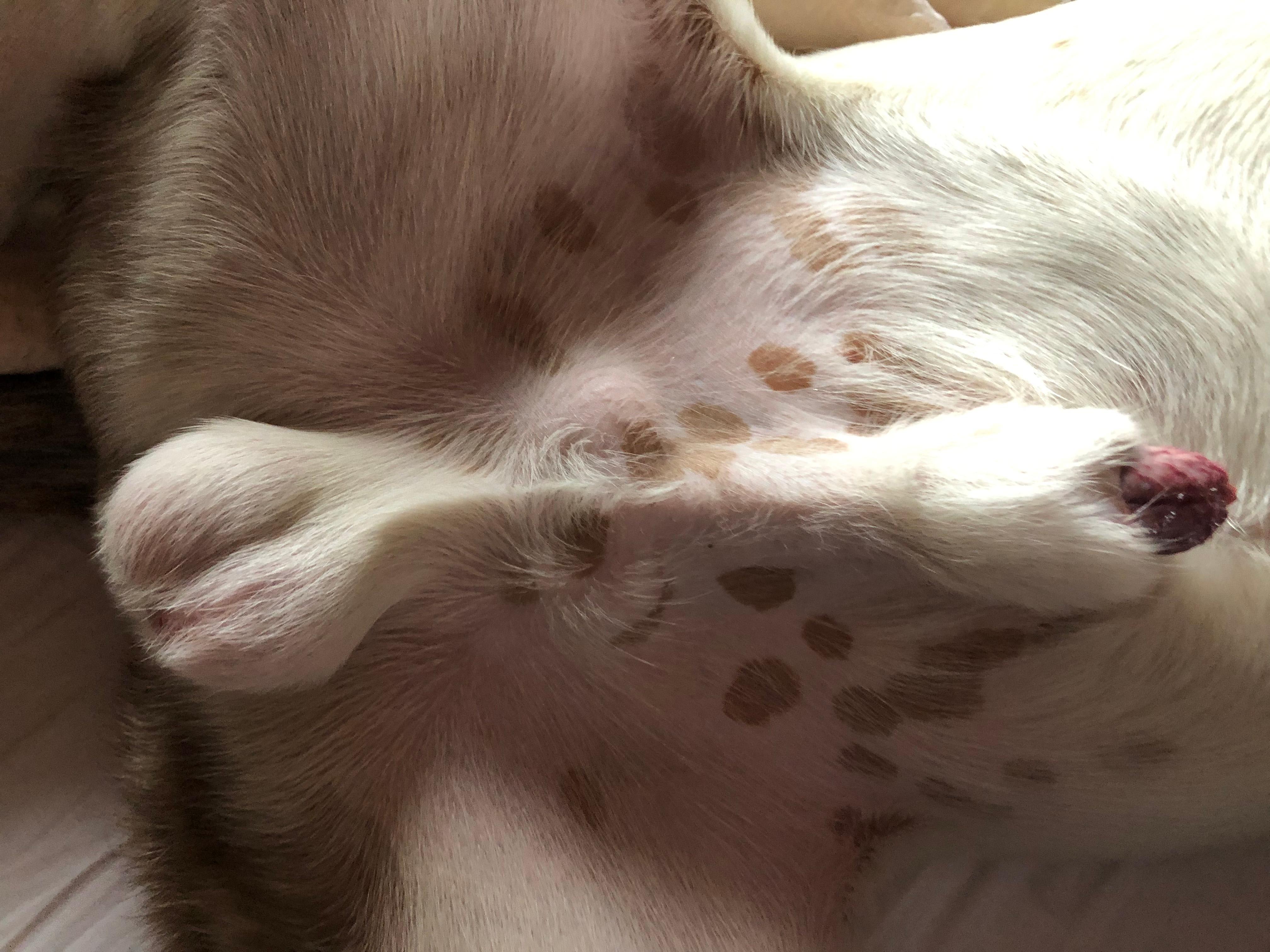 Question details sensitive content