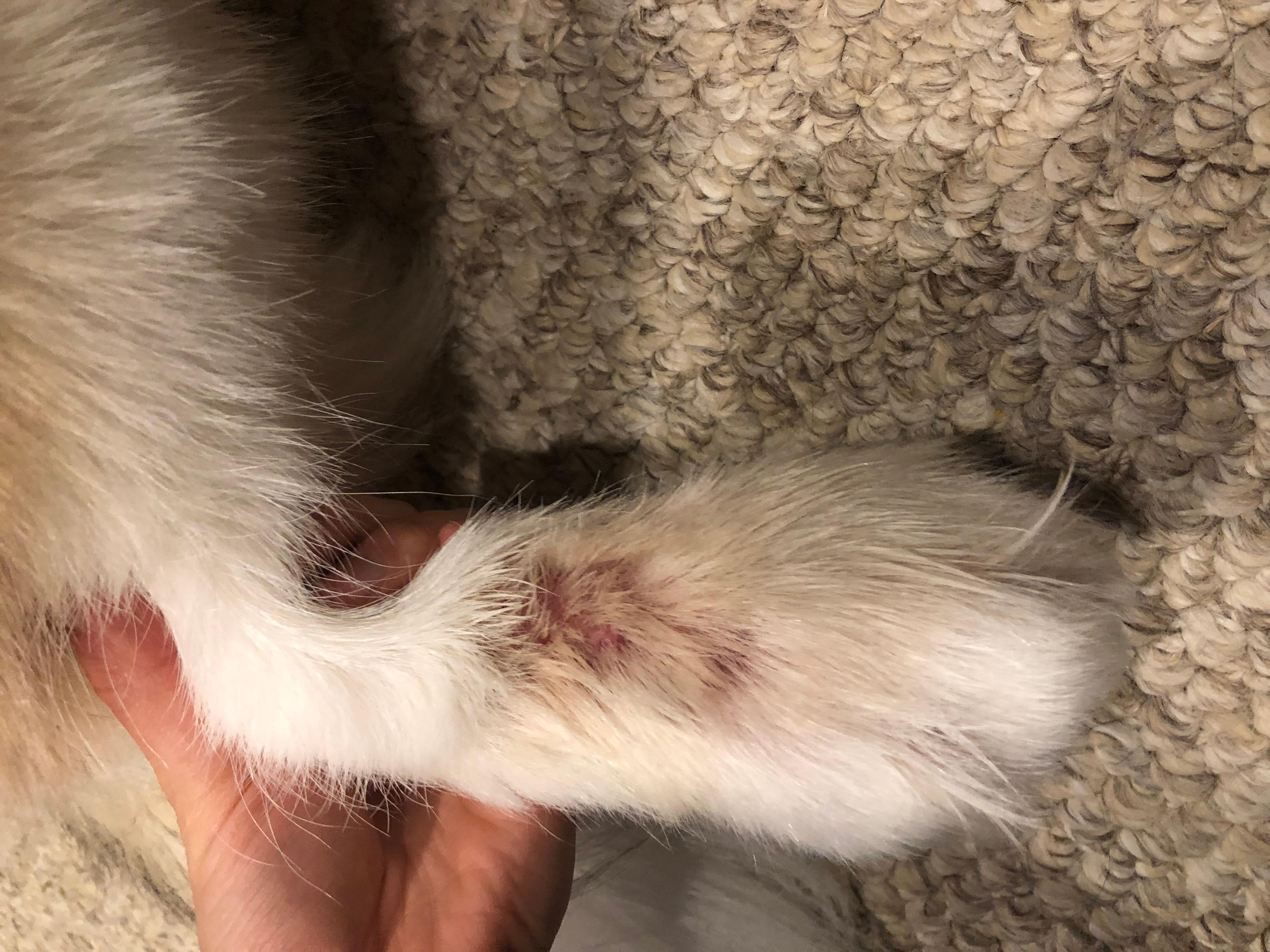 Question details sensitive content