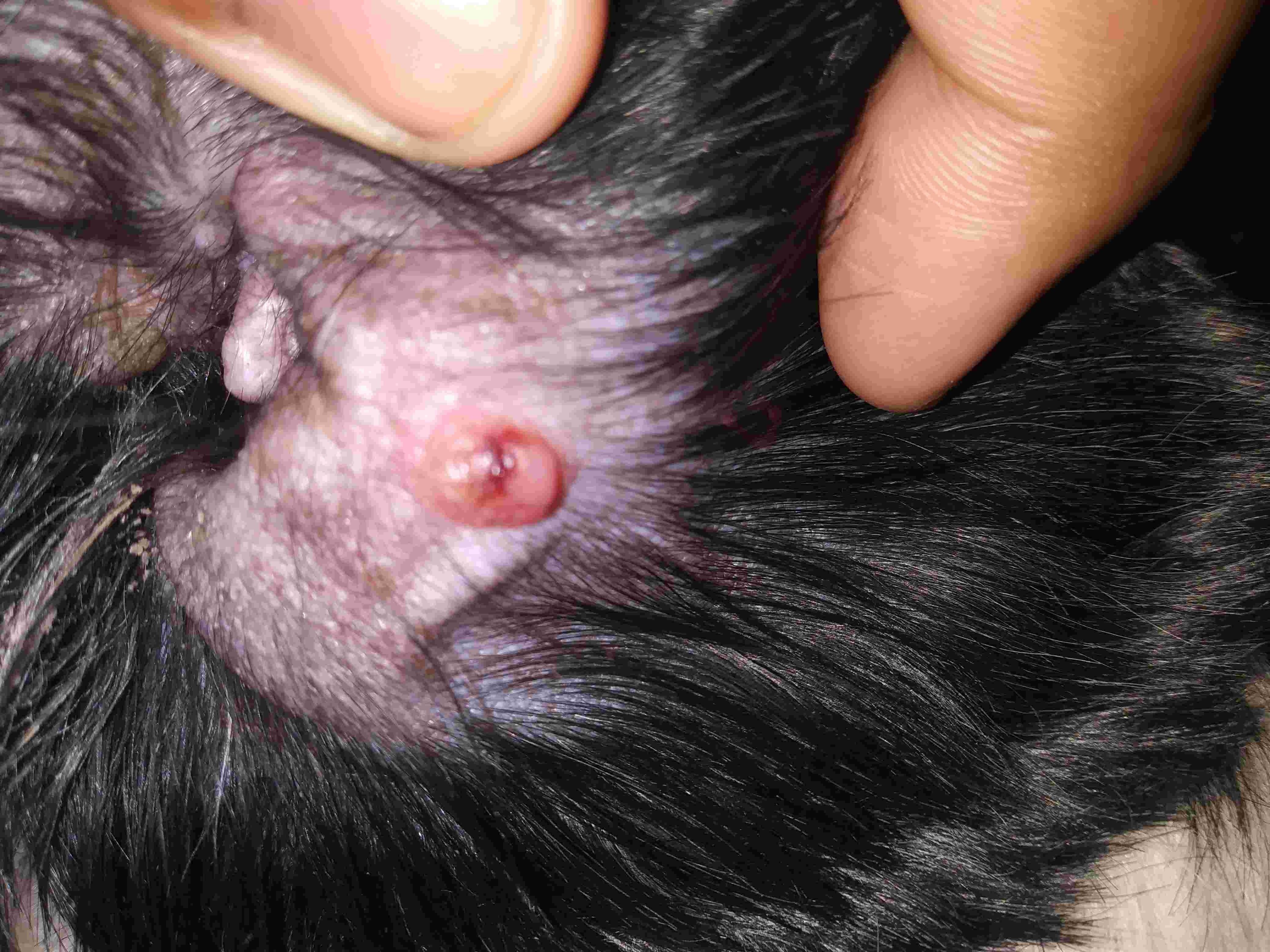 Question details sensitive content