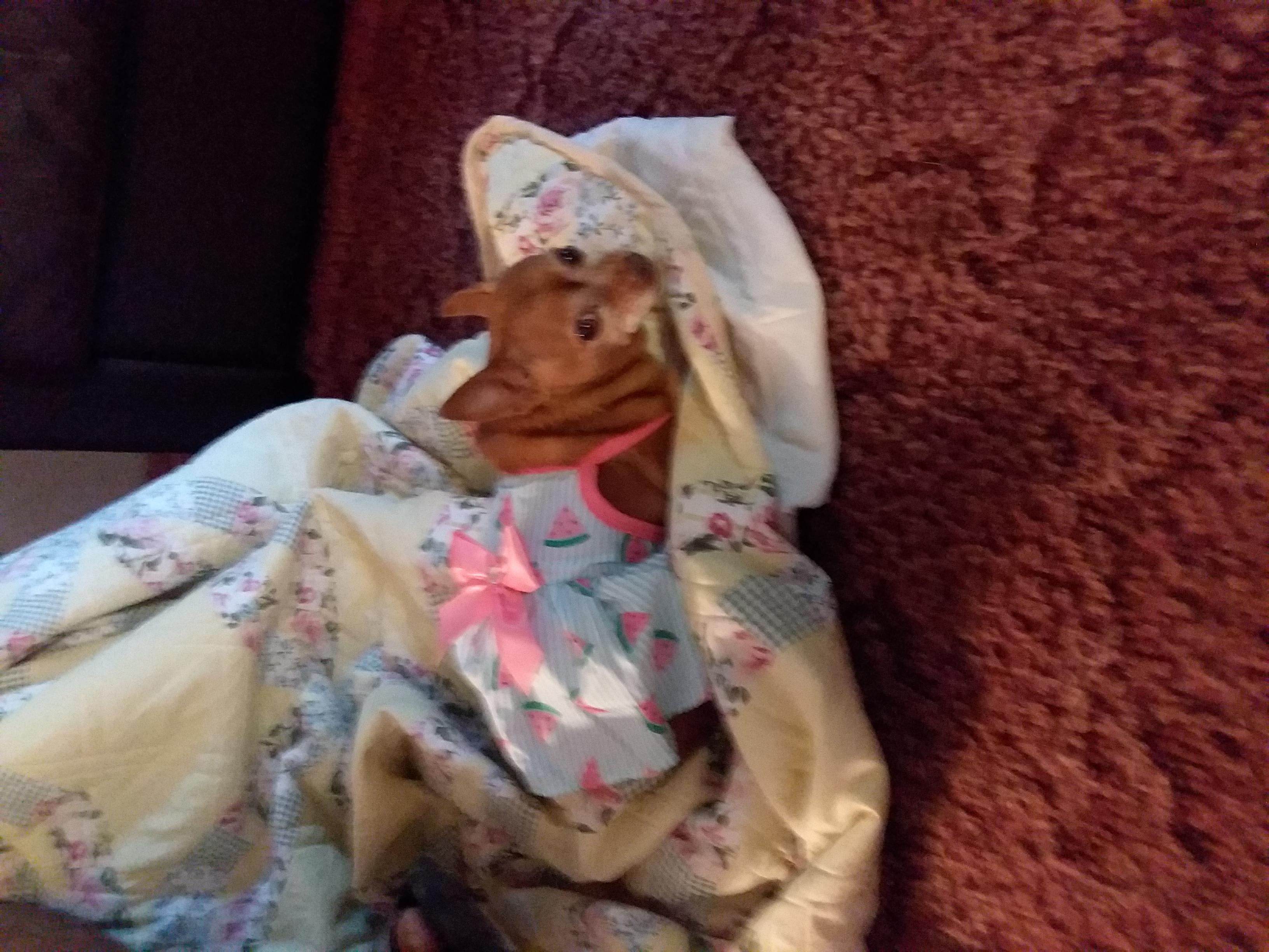 Question details sensitive content