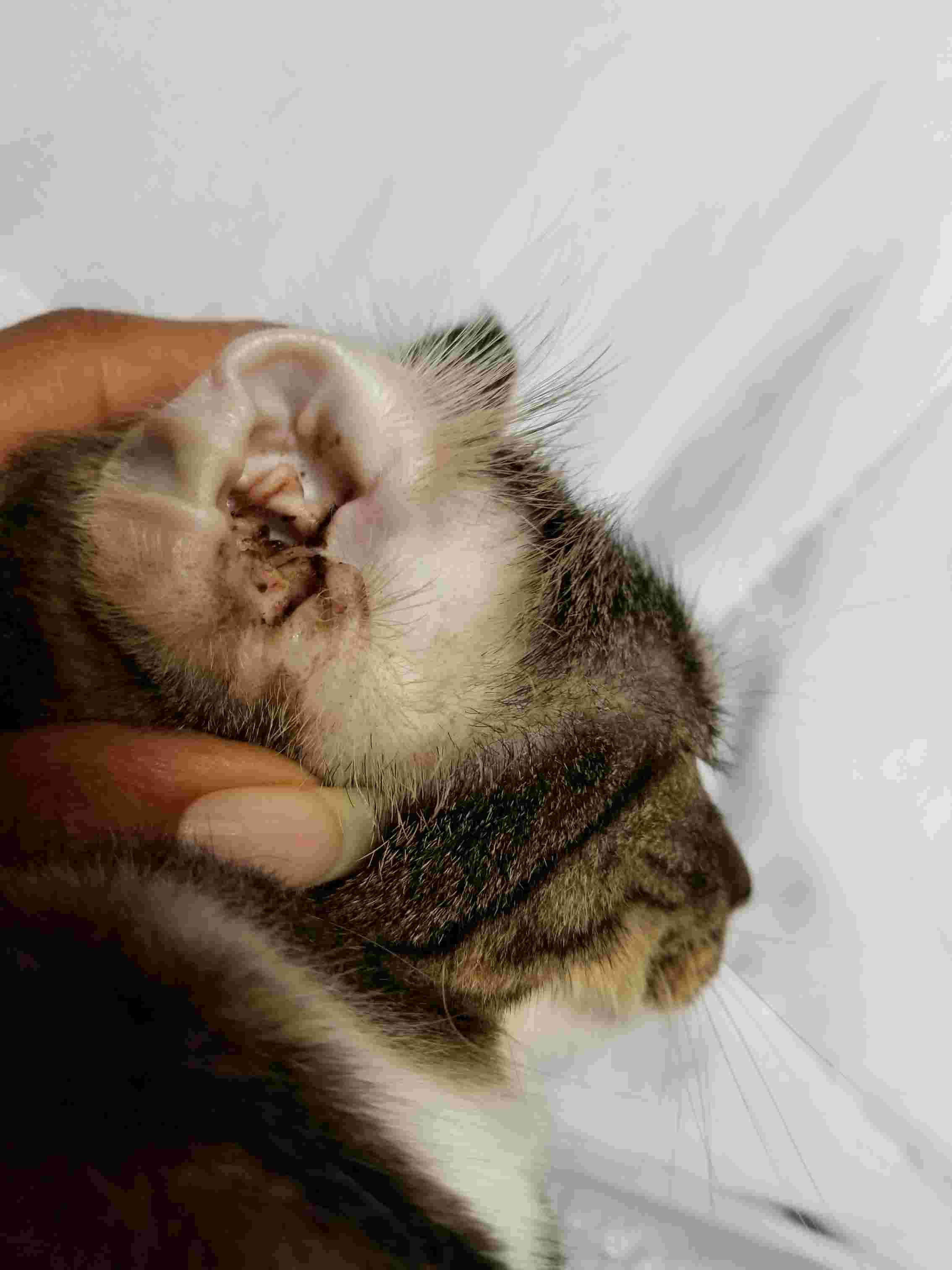 Question details sensitive content