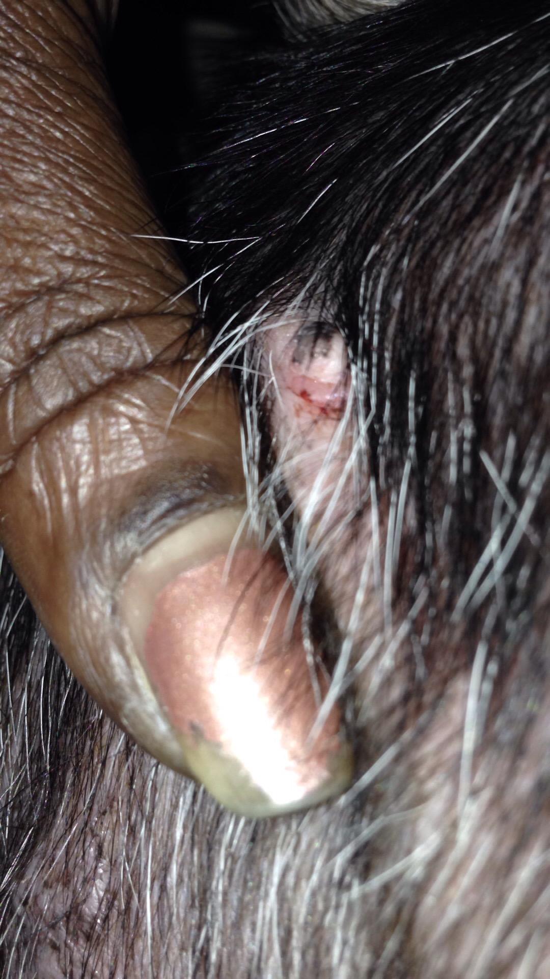 Question details sensitive content