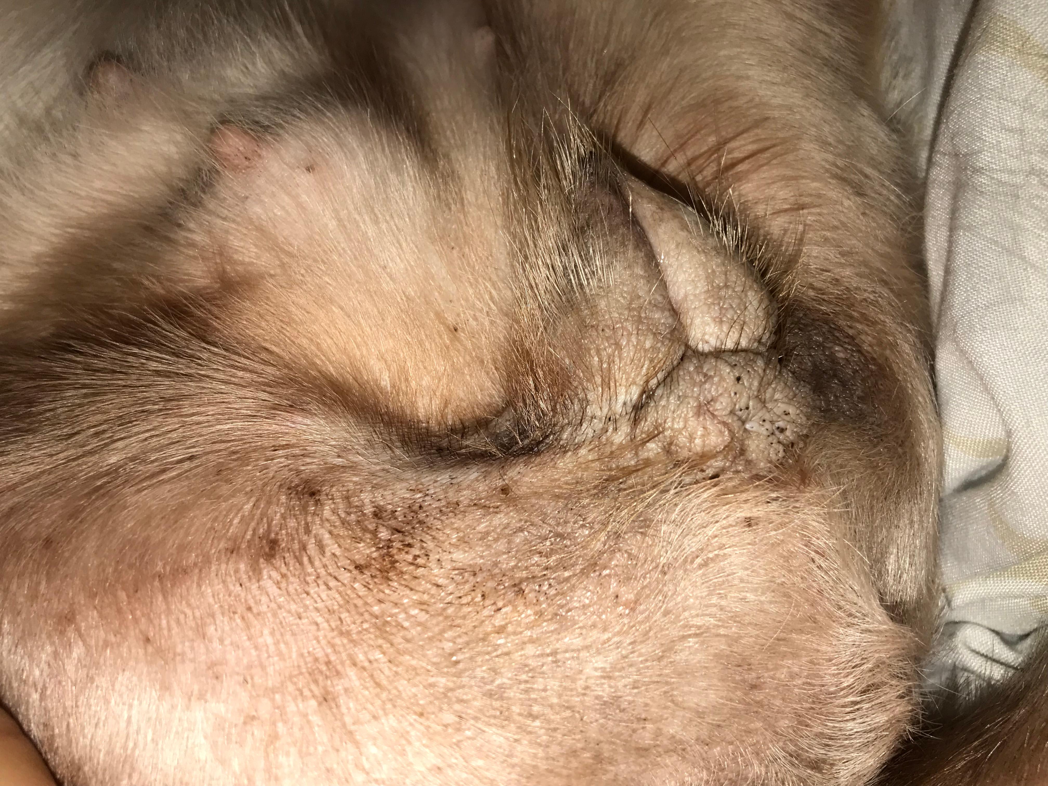 Question details sensitive content