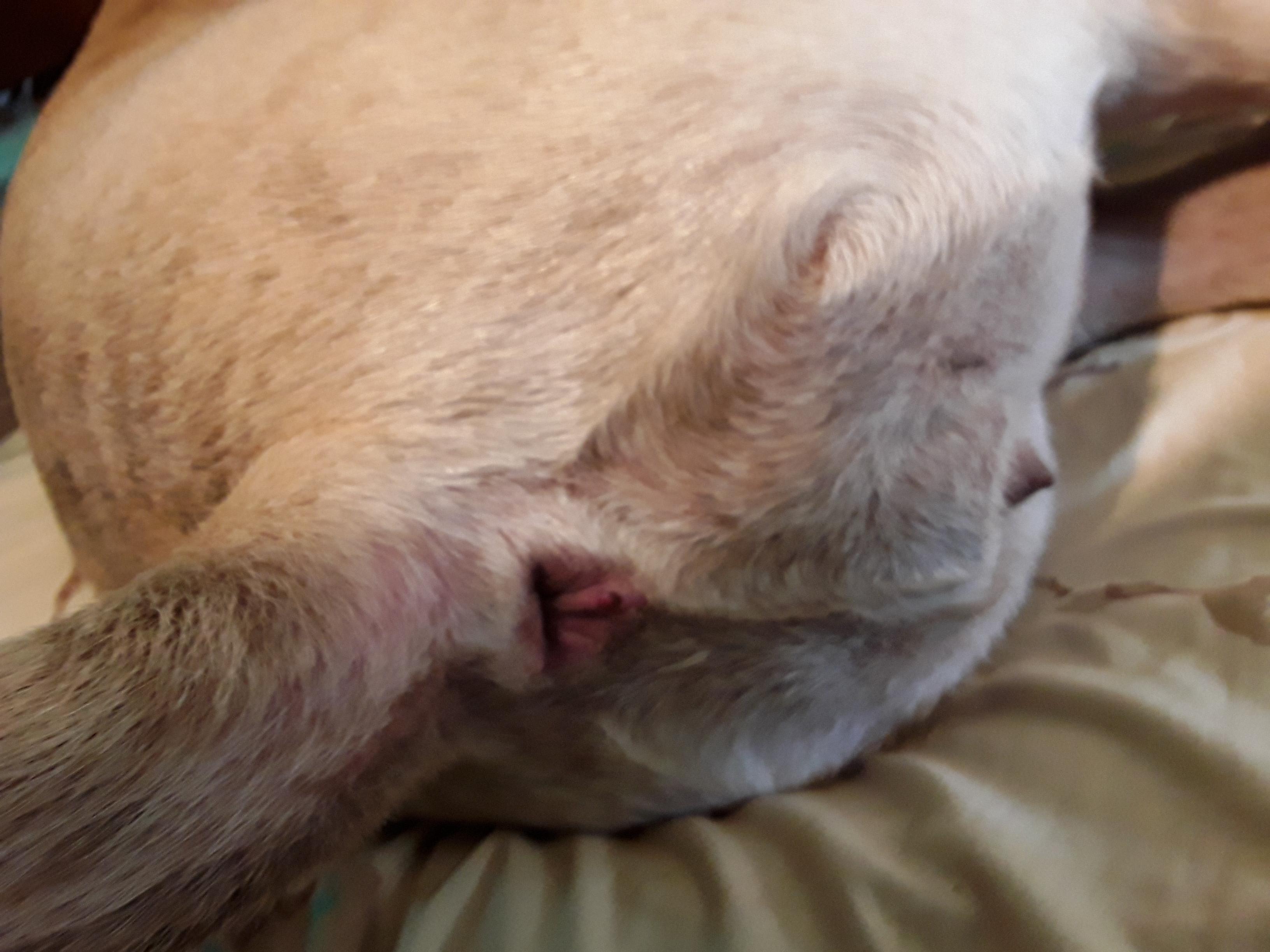 Question details sensitive content