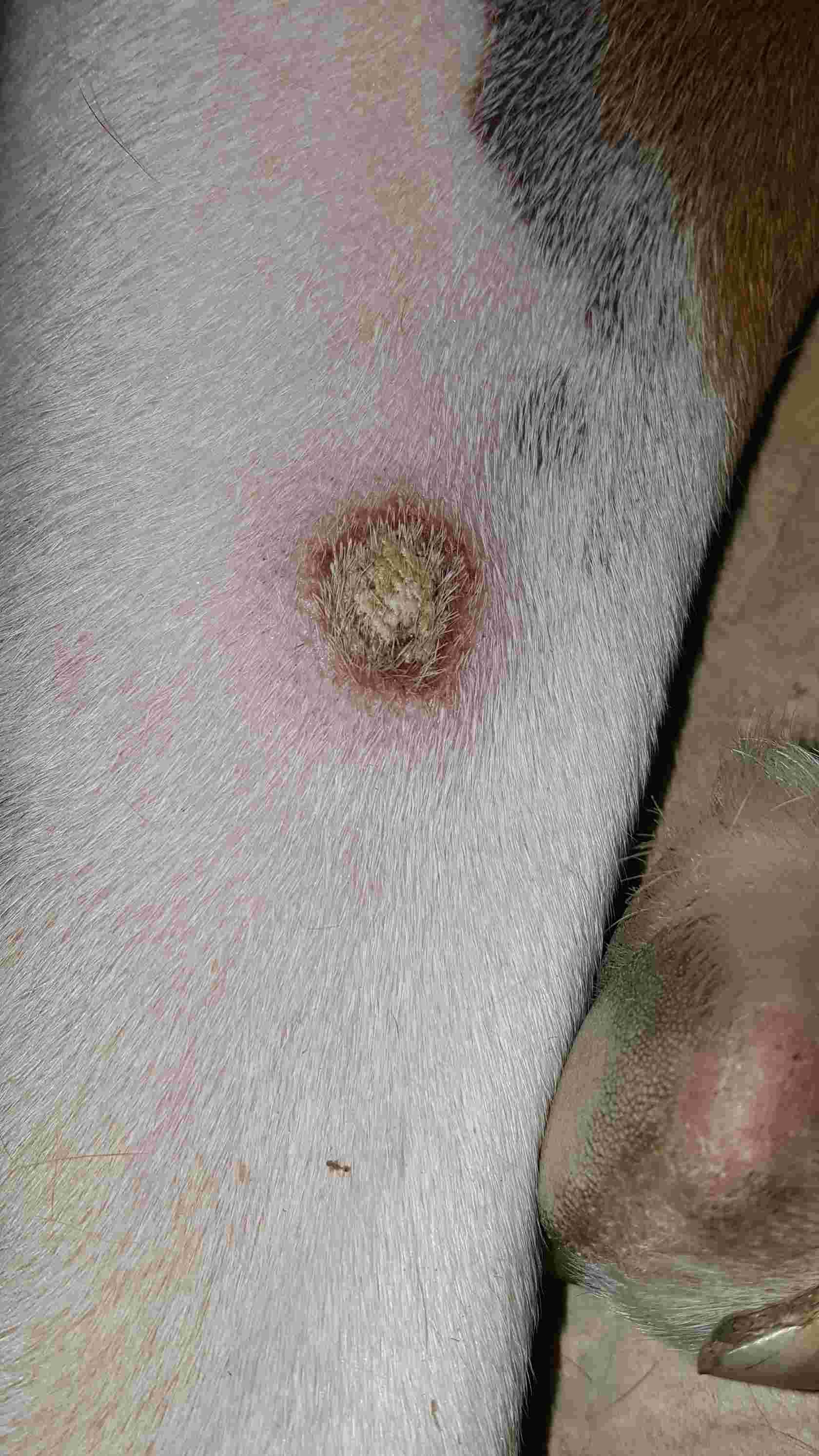 Question details sensitive content