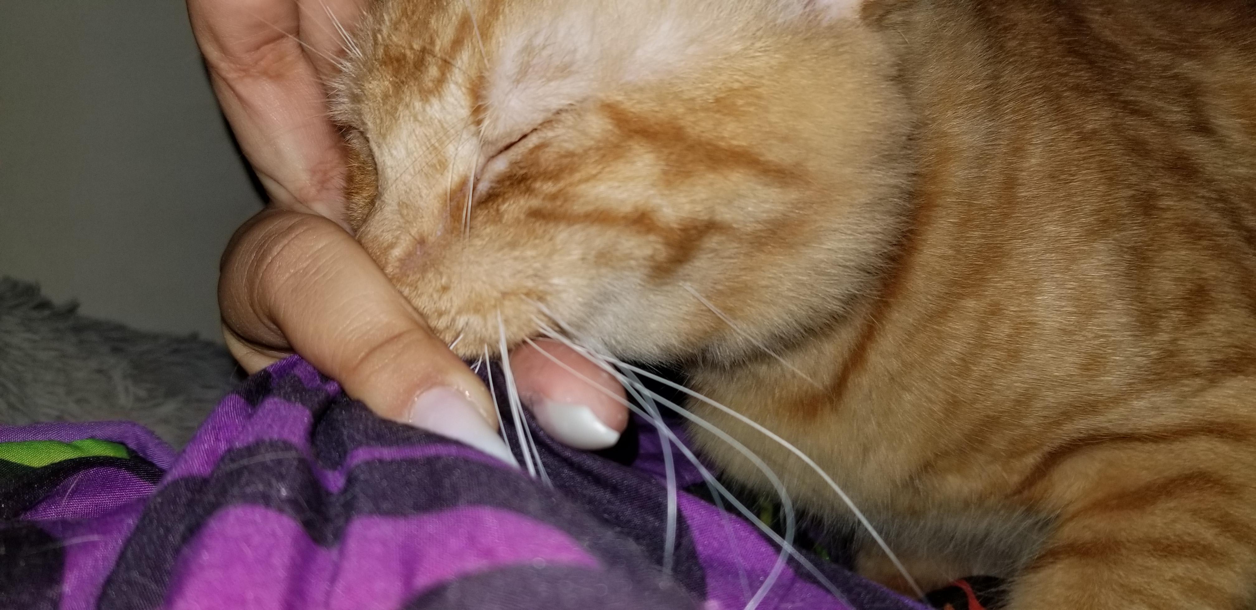 Question details sensitive content