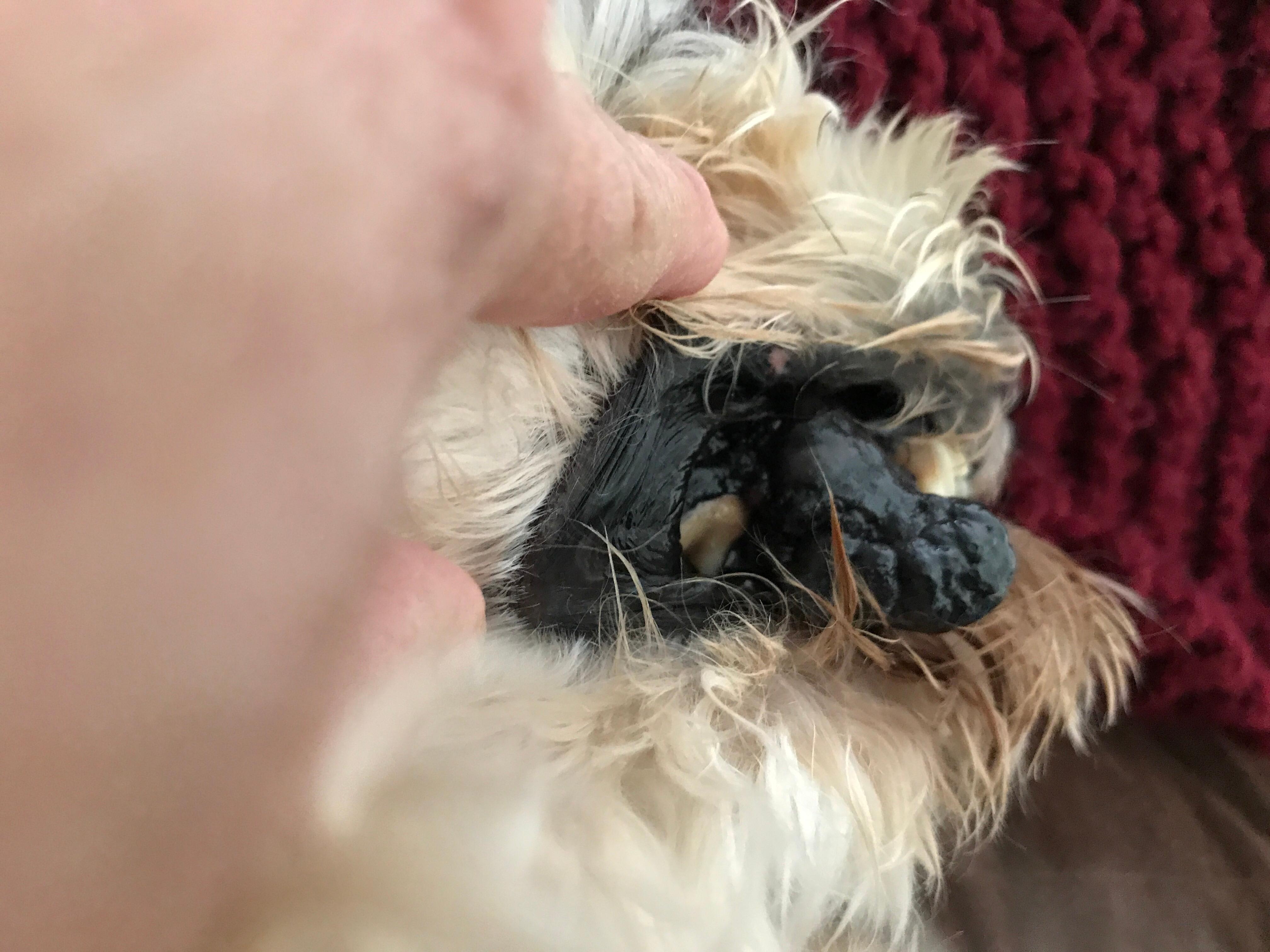 Question details sensitive content