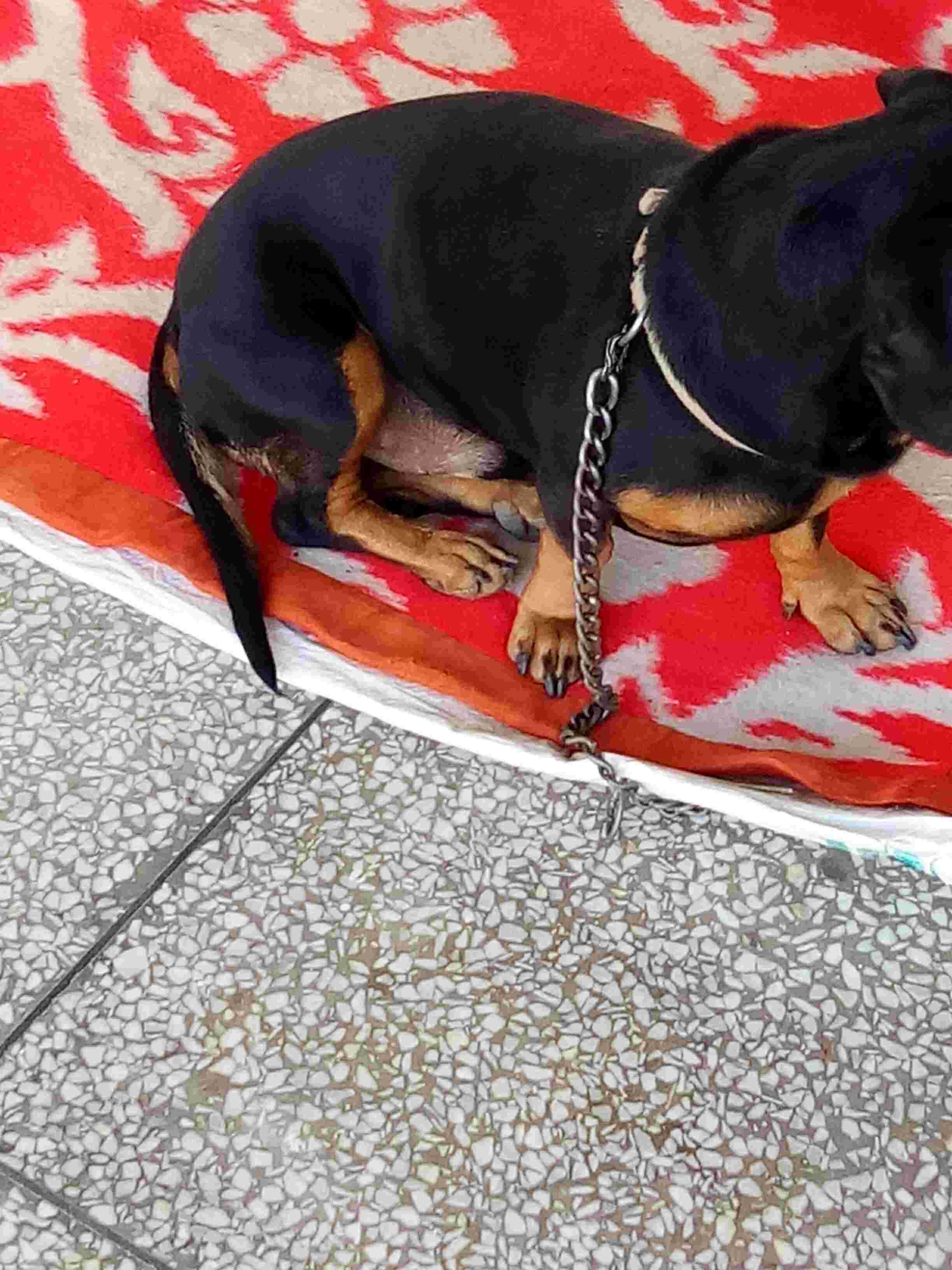 Question details sensitive content