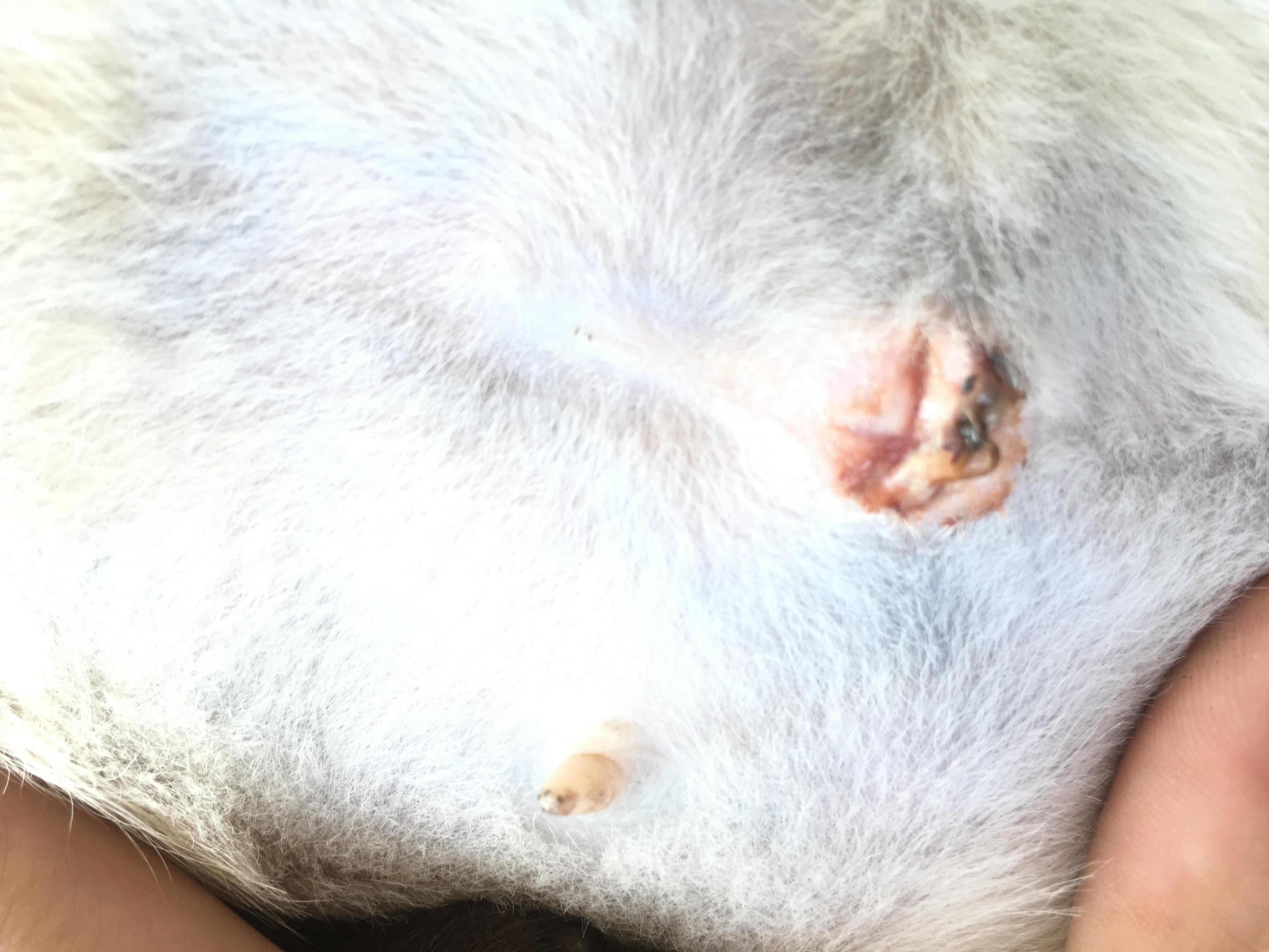 Question details sensitive content