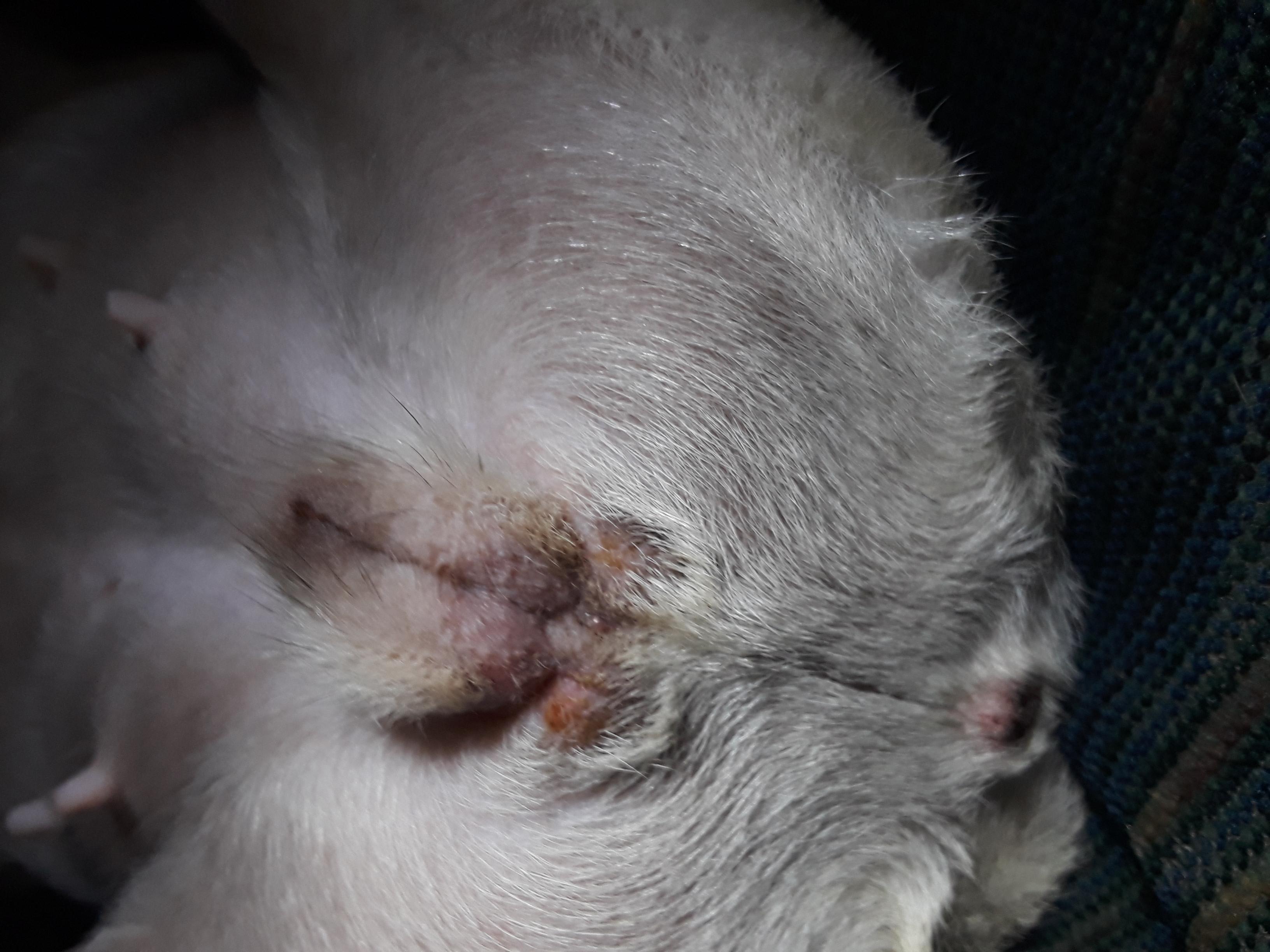 Question details sensitive content