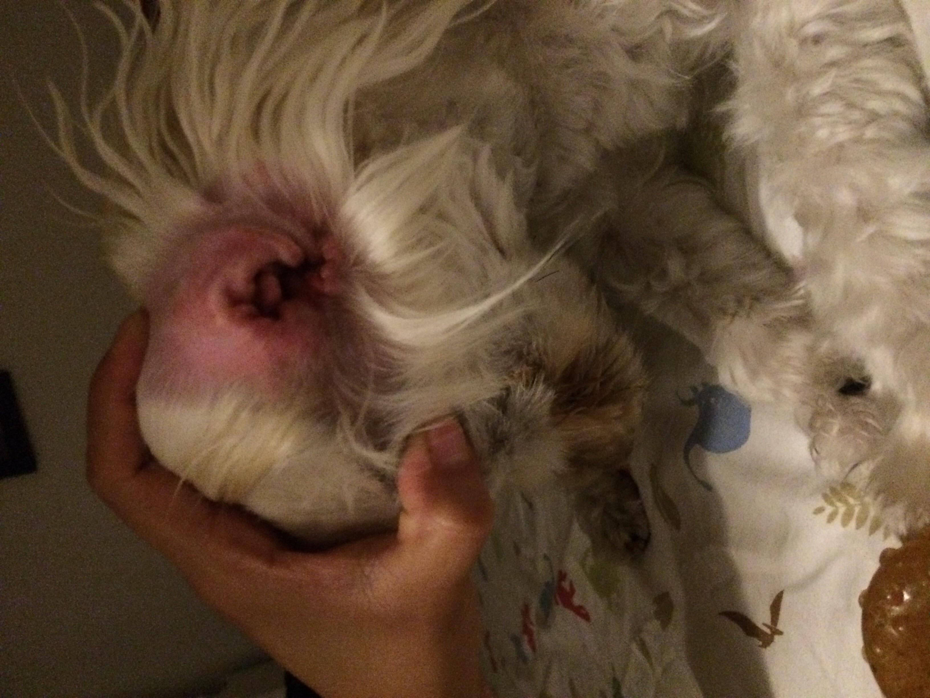 Question details sensitive content