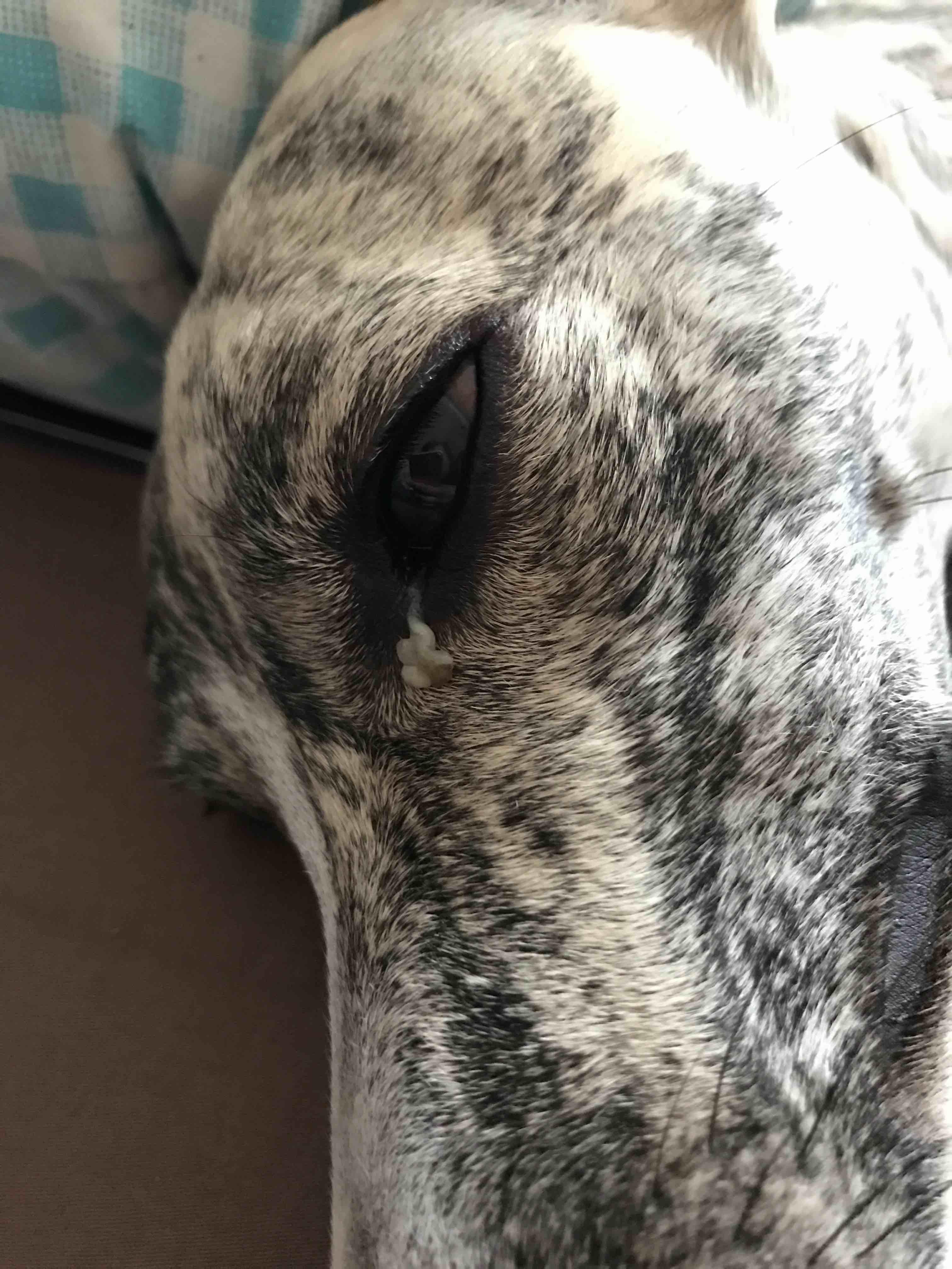 Question details sensitive content