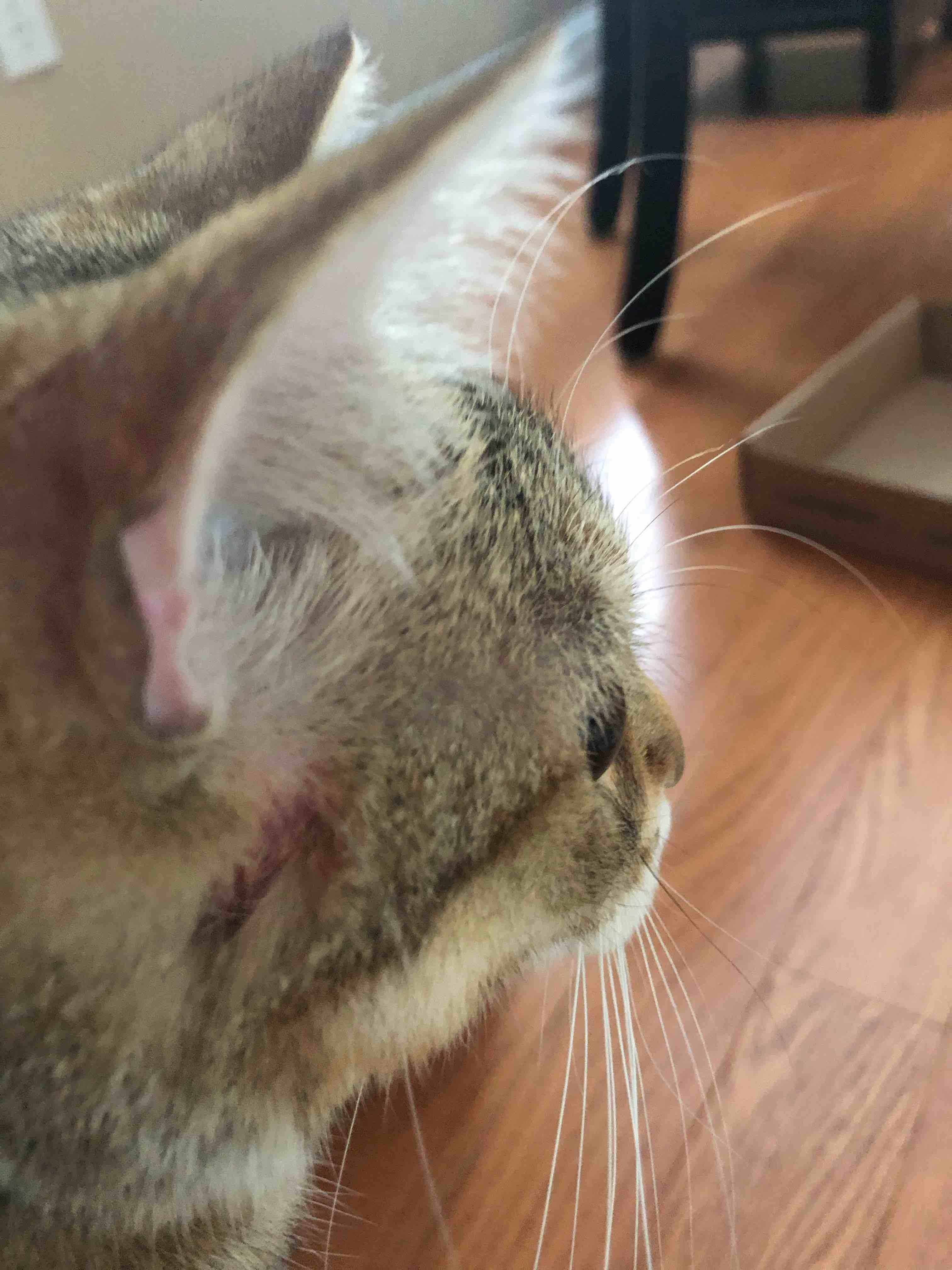 Question details sensitive content