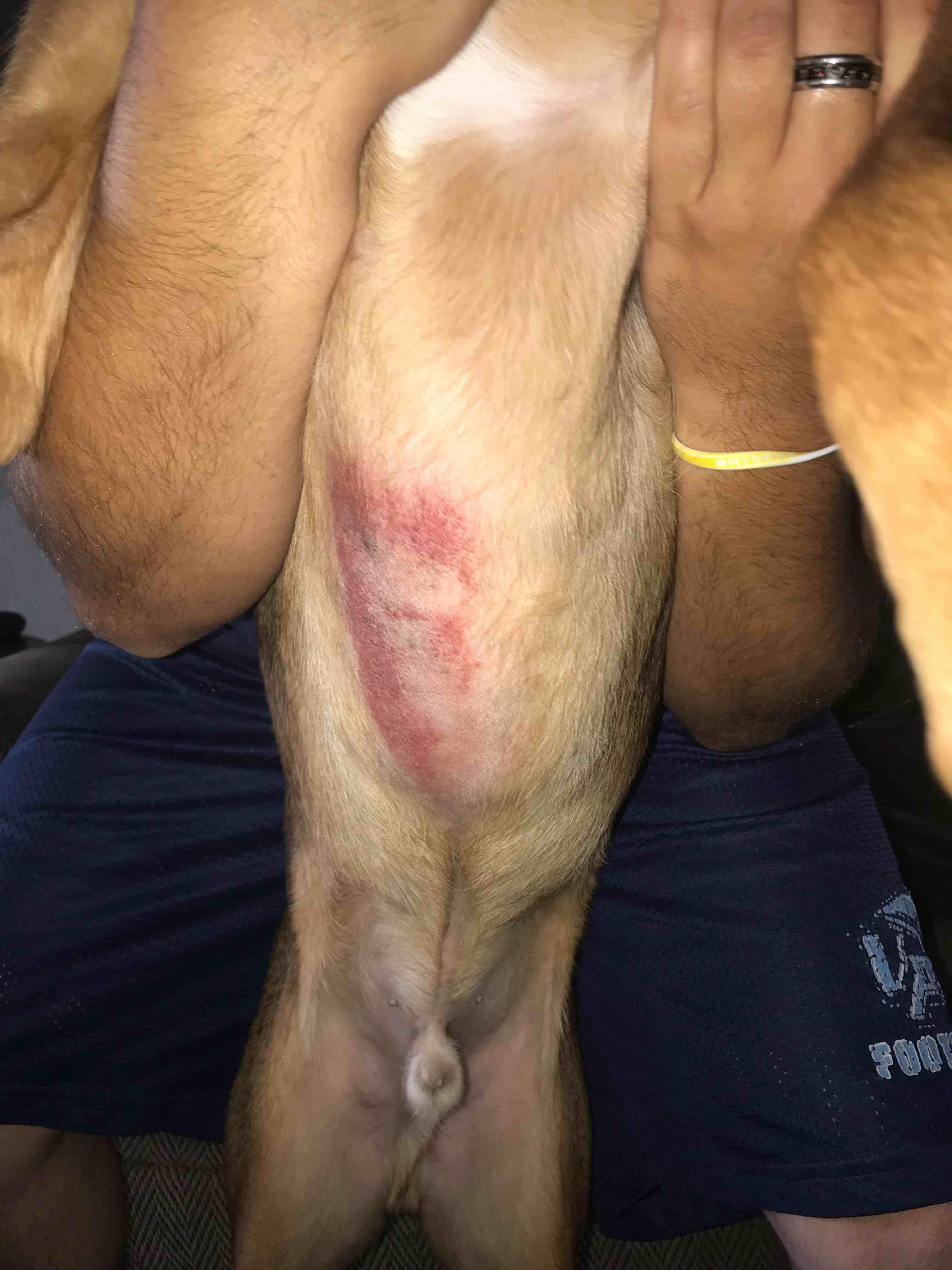 Question details sensitive content