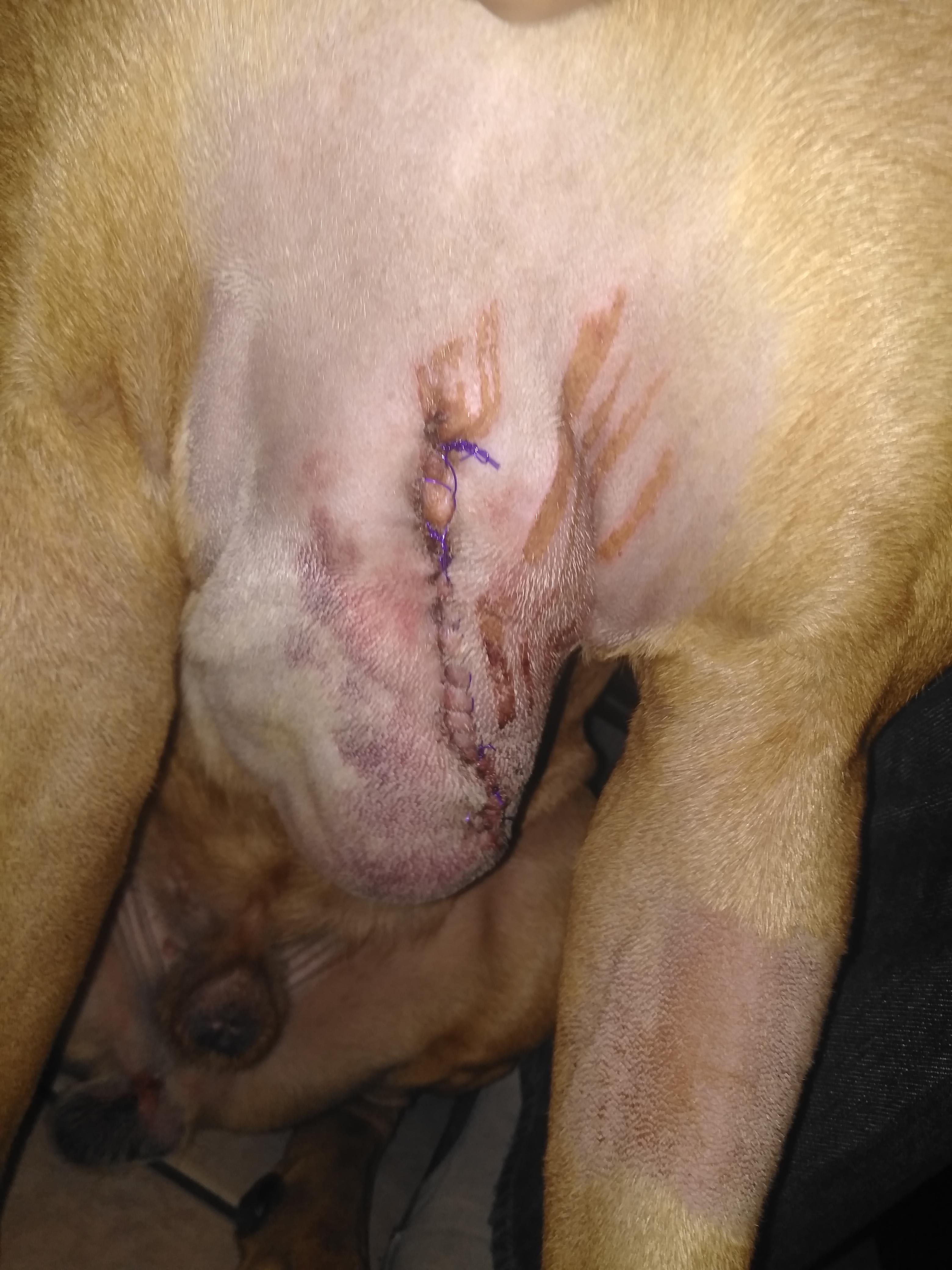 Question details sensitive content