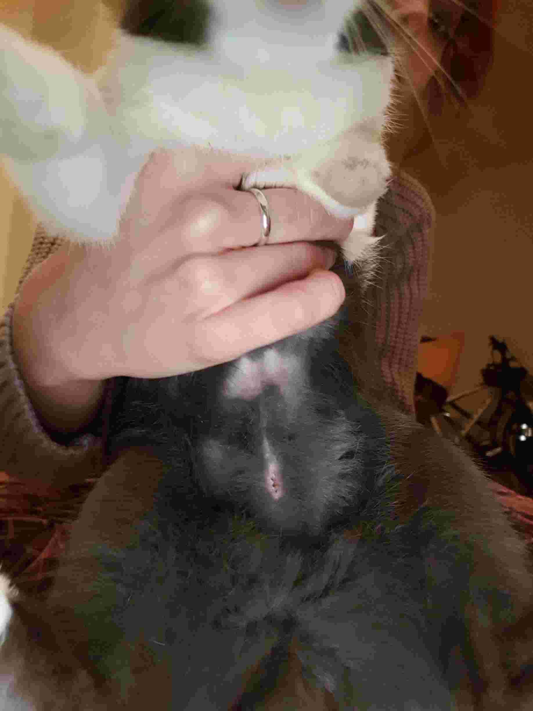 Question details sensitive content