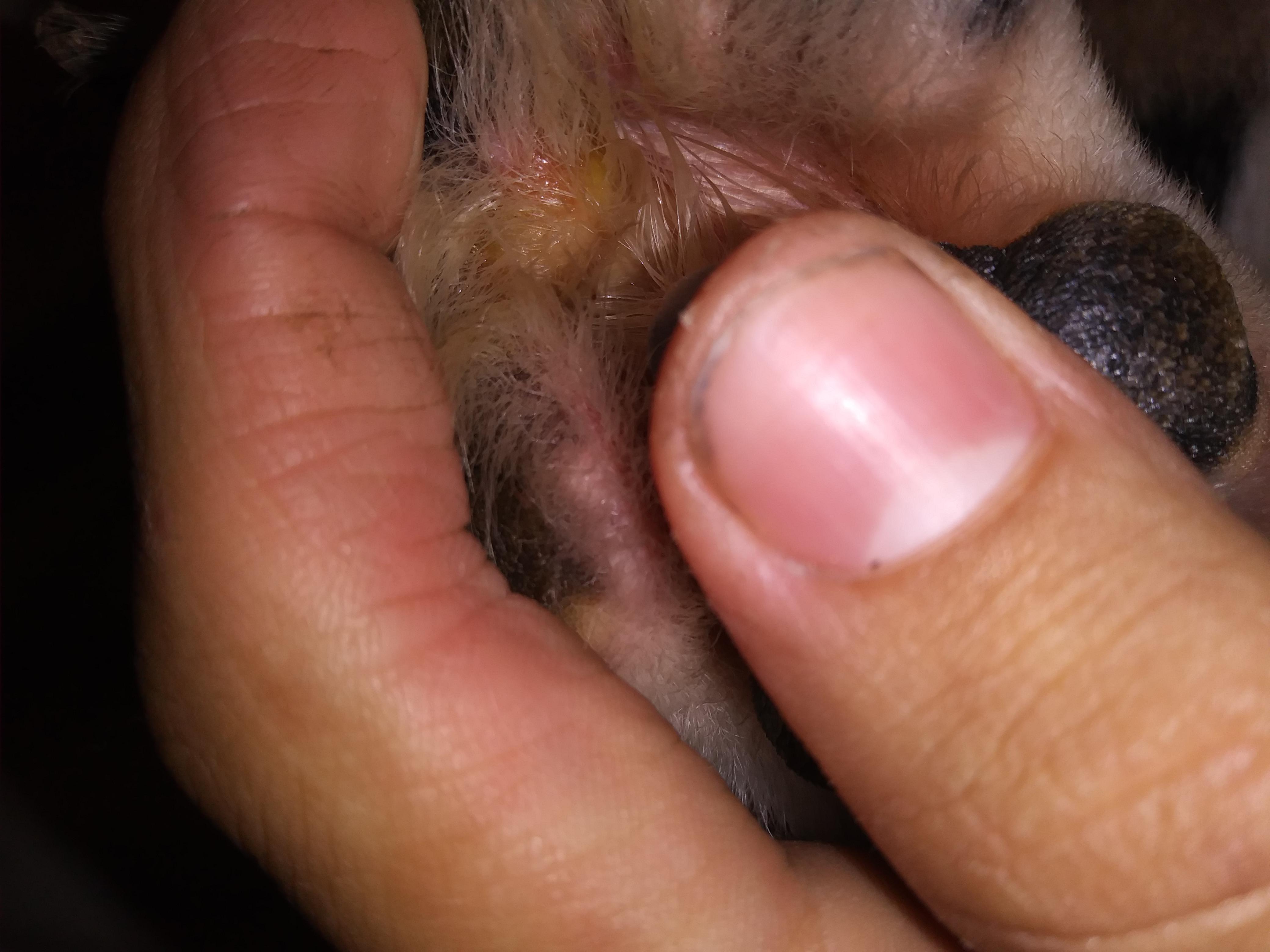 Question details sensitive content