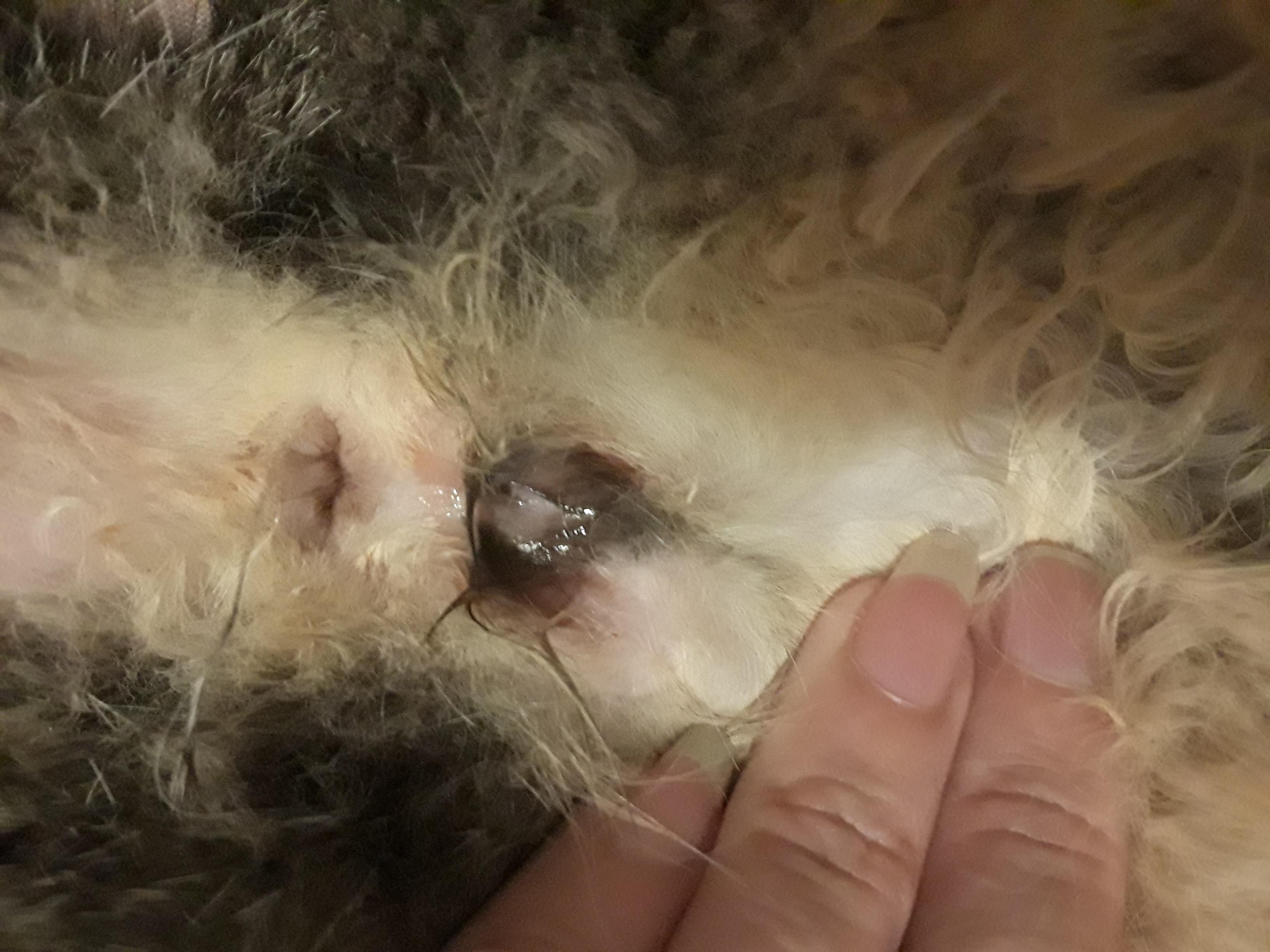 Question details sensitive content