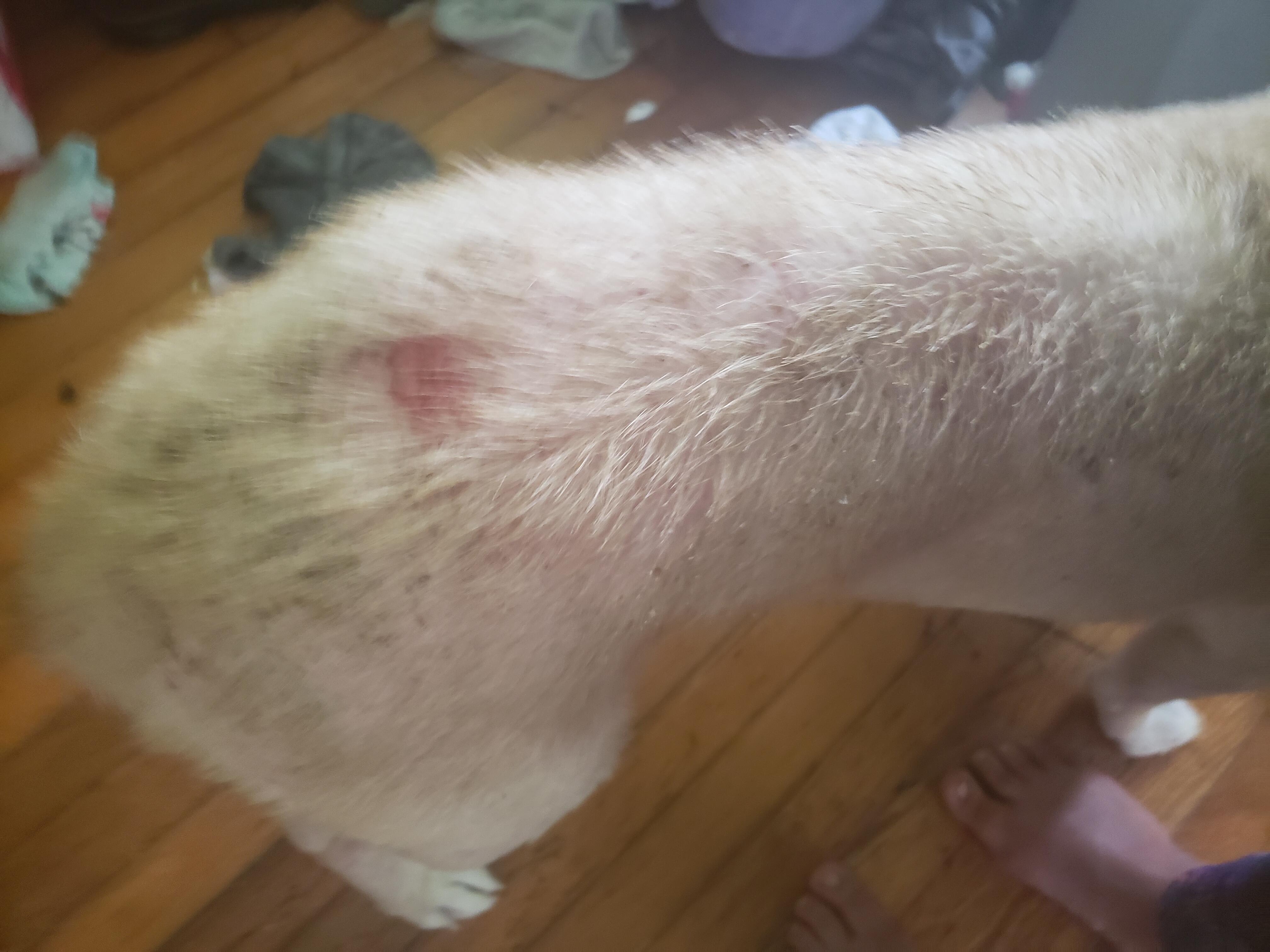 Question details sensitive content