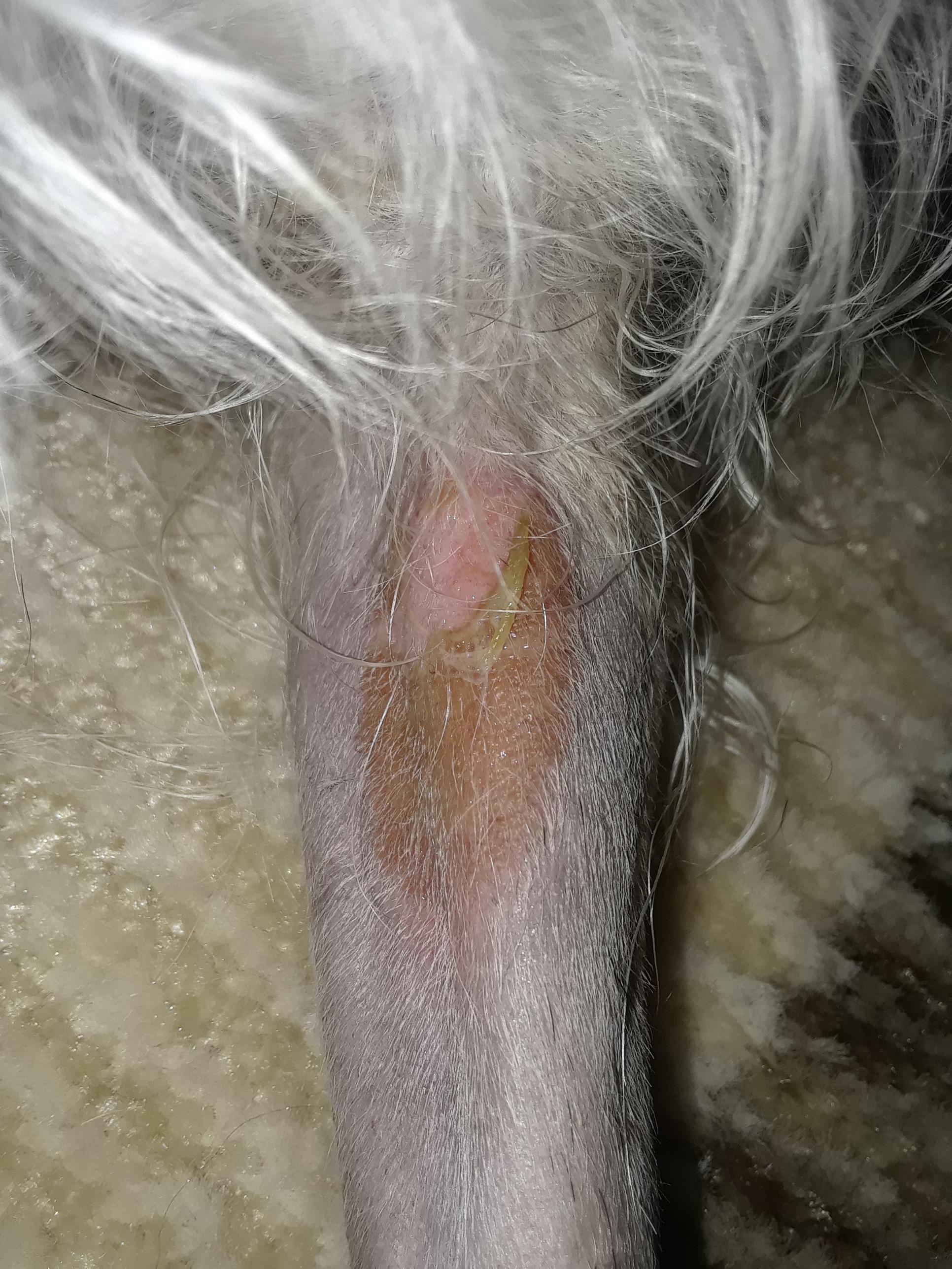 Question details sensitive content