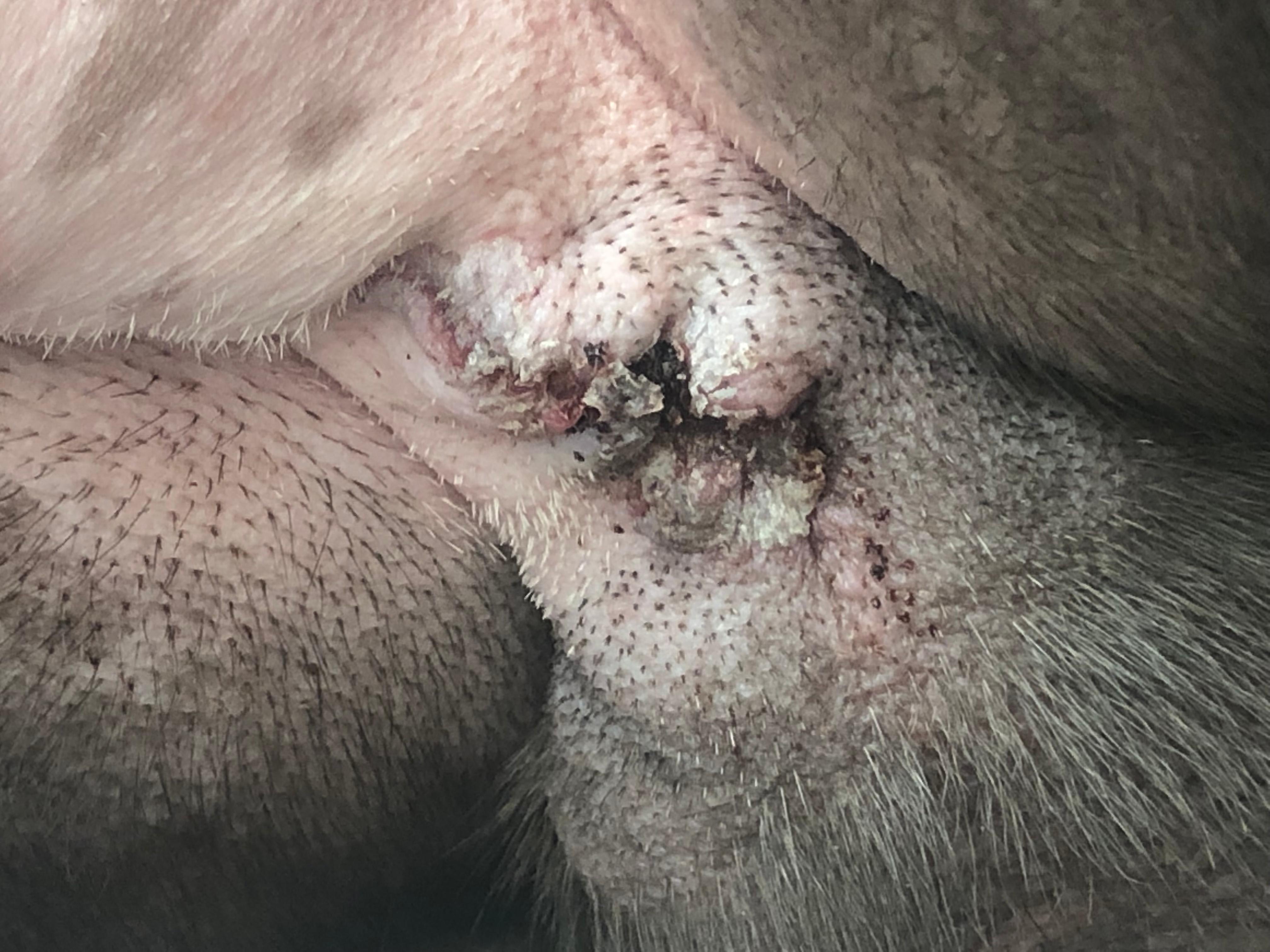 Question details sensitive content