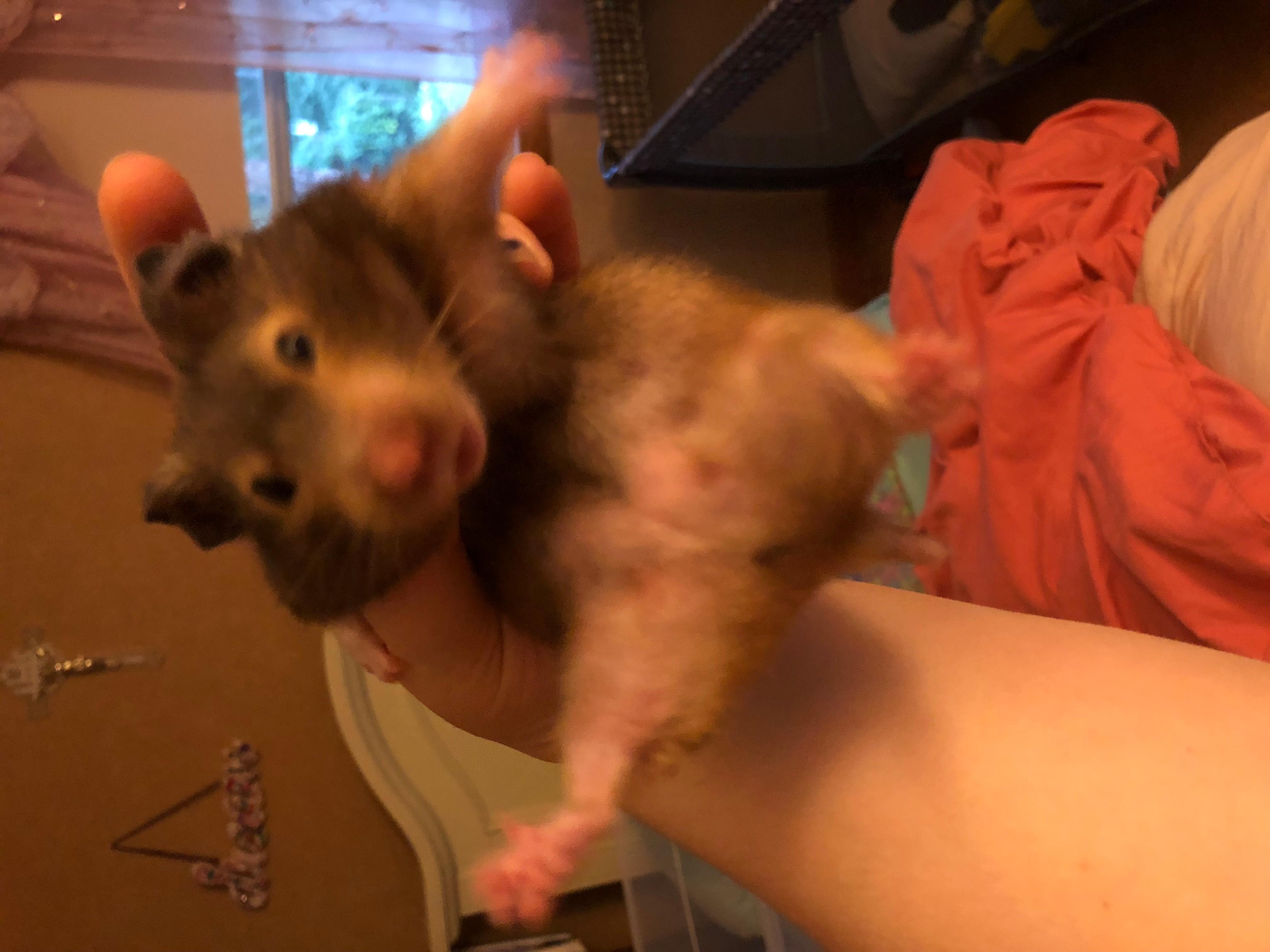 Question details sensitive content