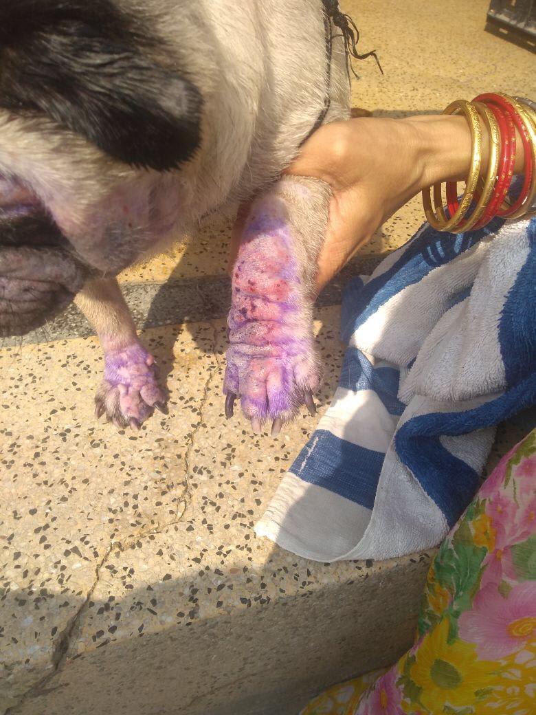 Question details sensitive content