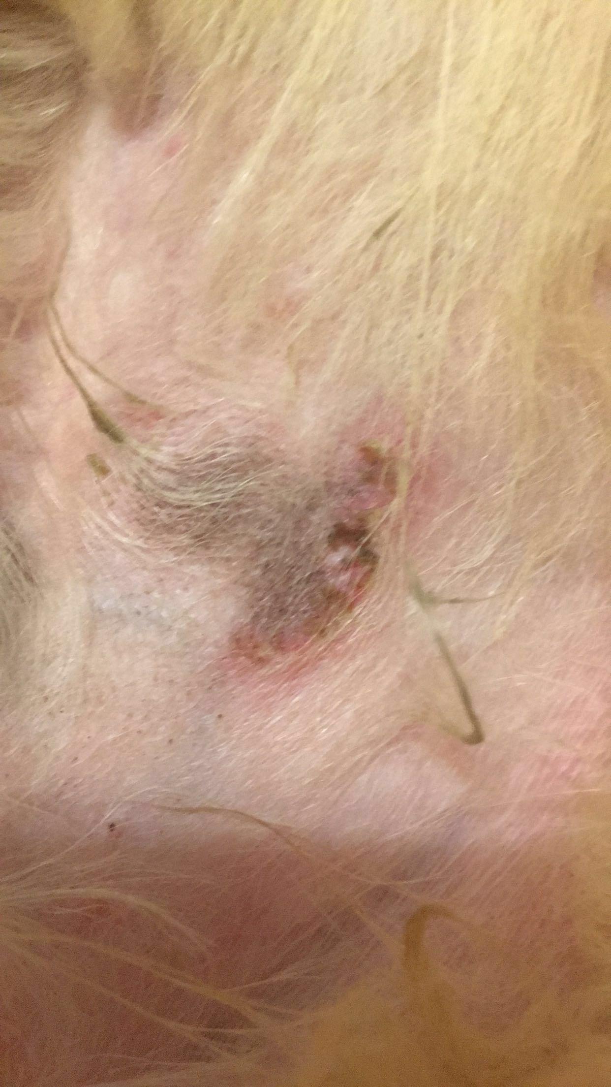 Question details sensitive content