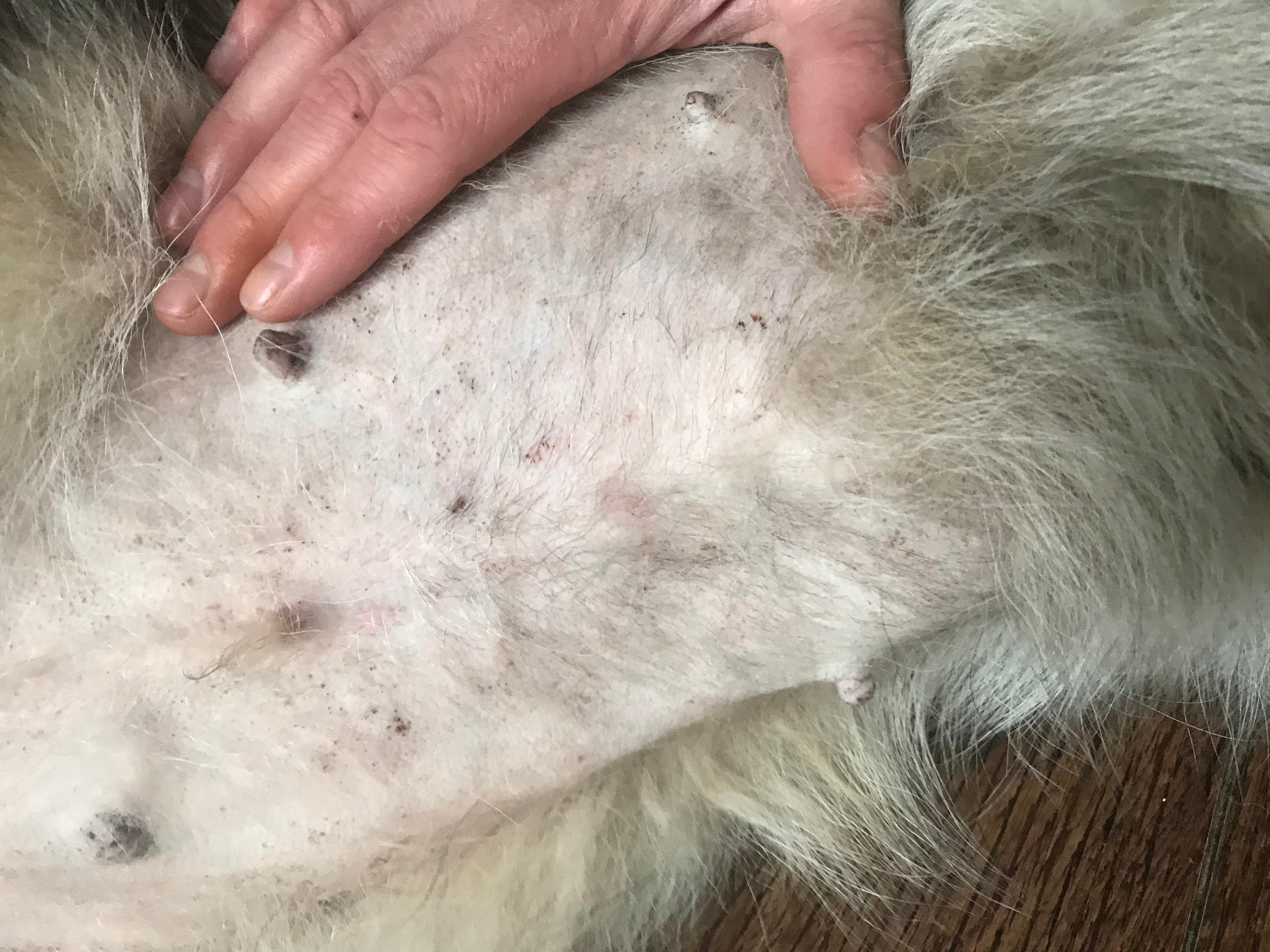 Question details sensitive content