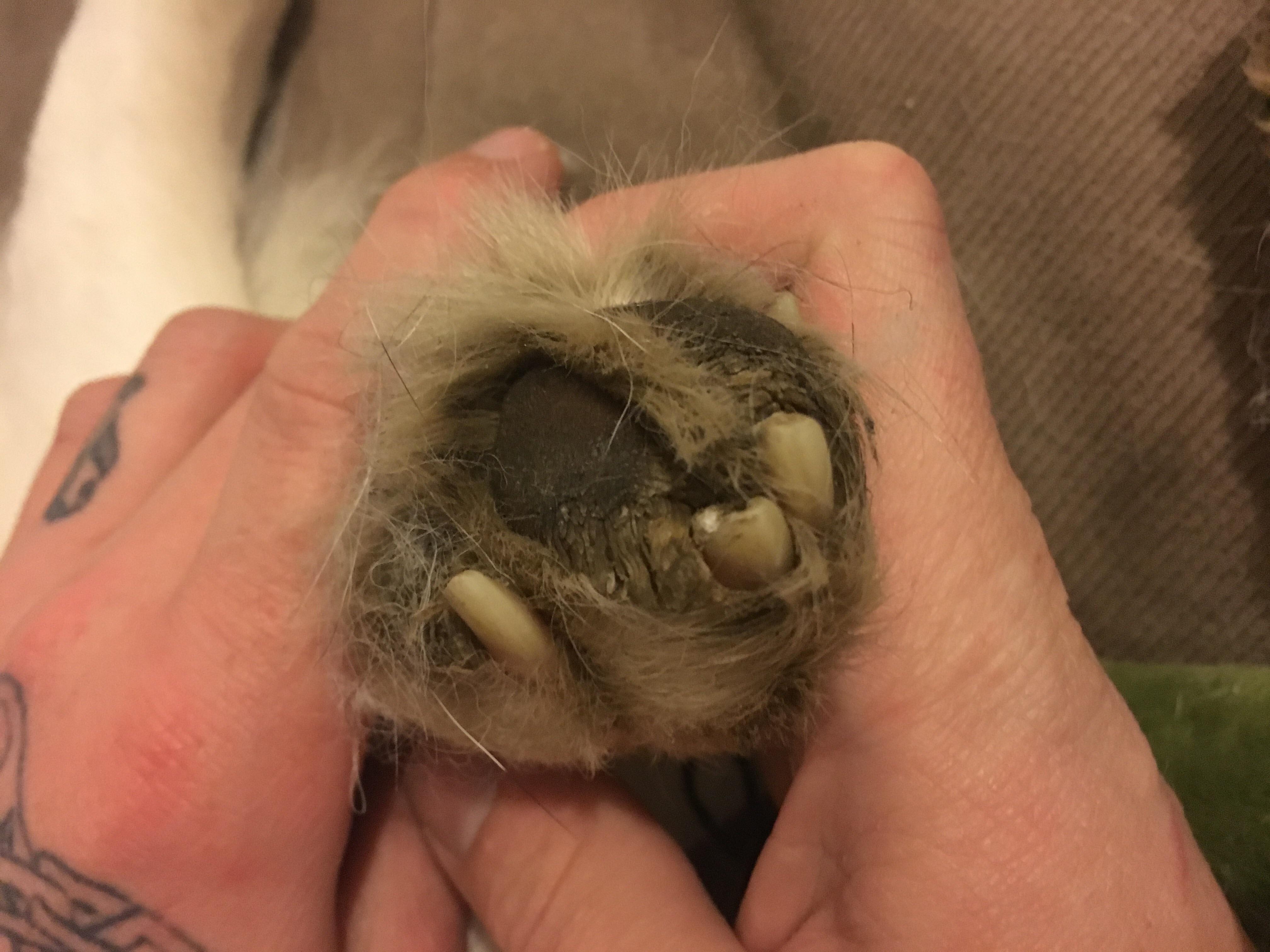 Question details sensitive content