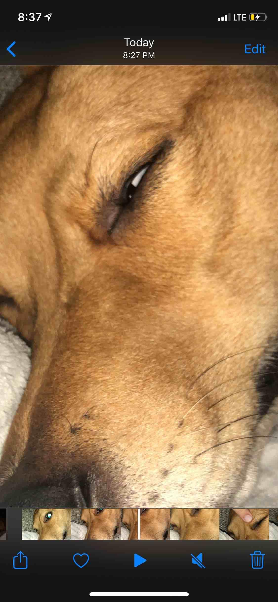 Question details sensitive content