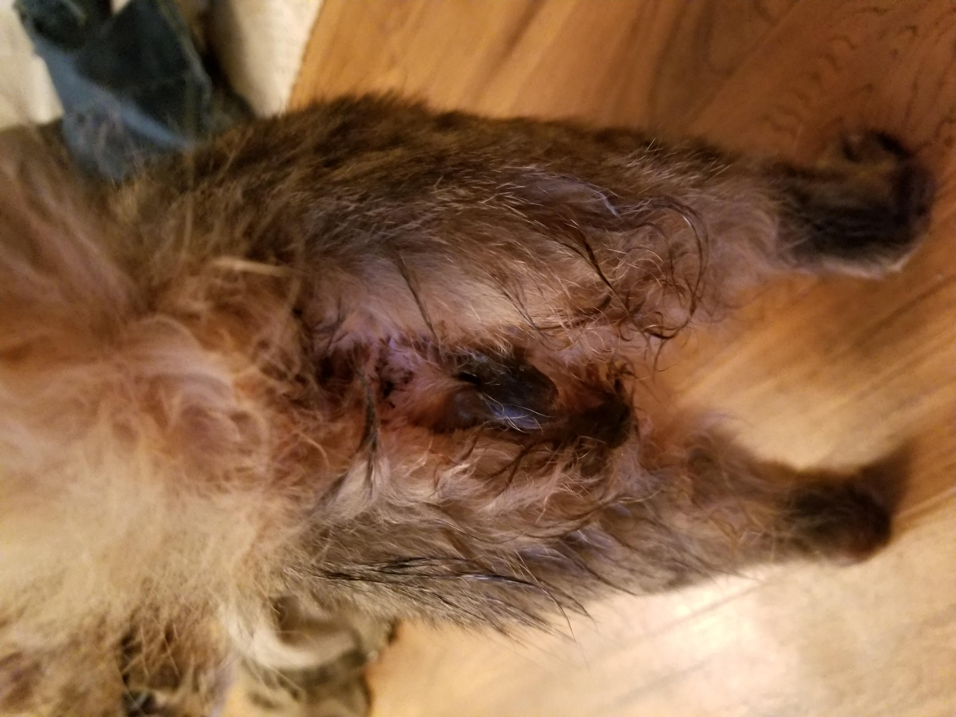 Question details sensitive content