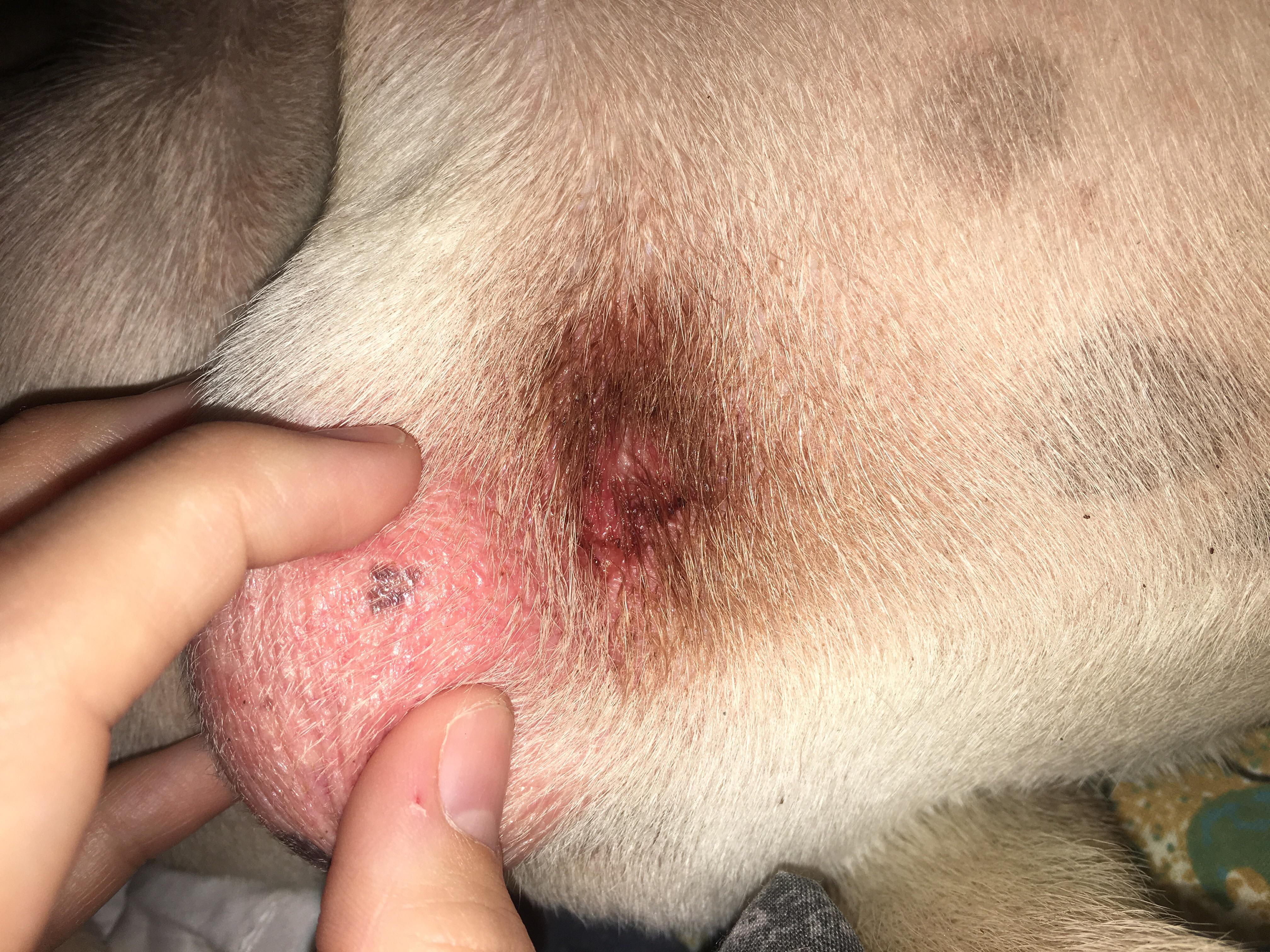 Question details sensitive content