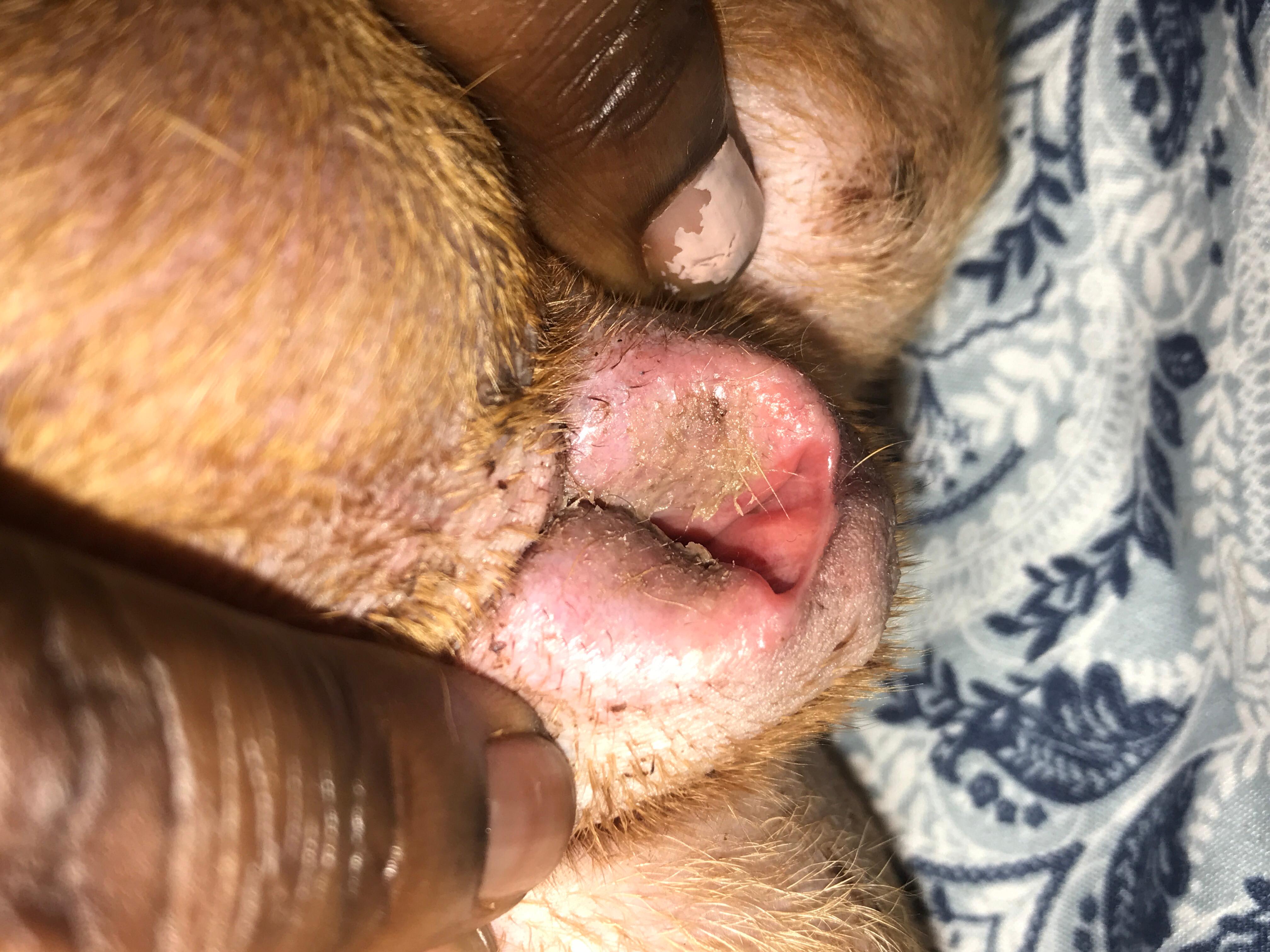 Question details sensitive content