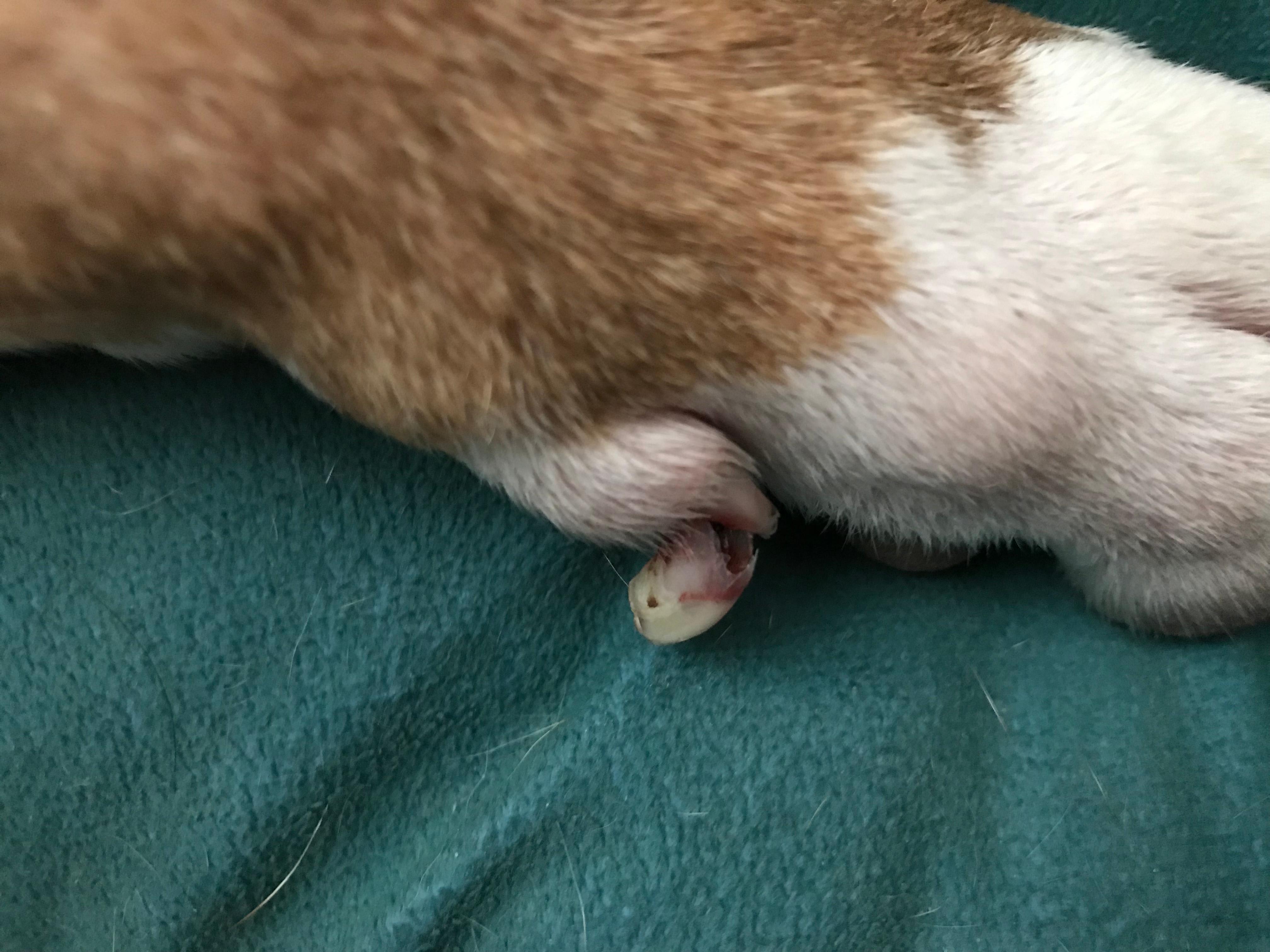 Question details sensitive content