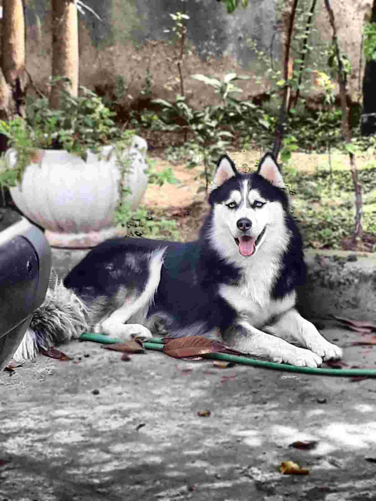 Question details sensitive content