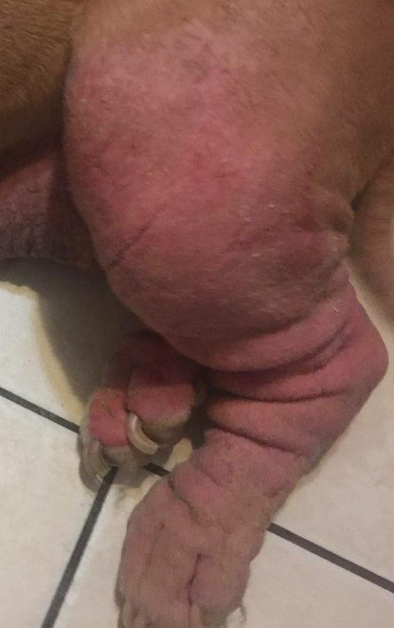 Question details sensitive content