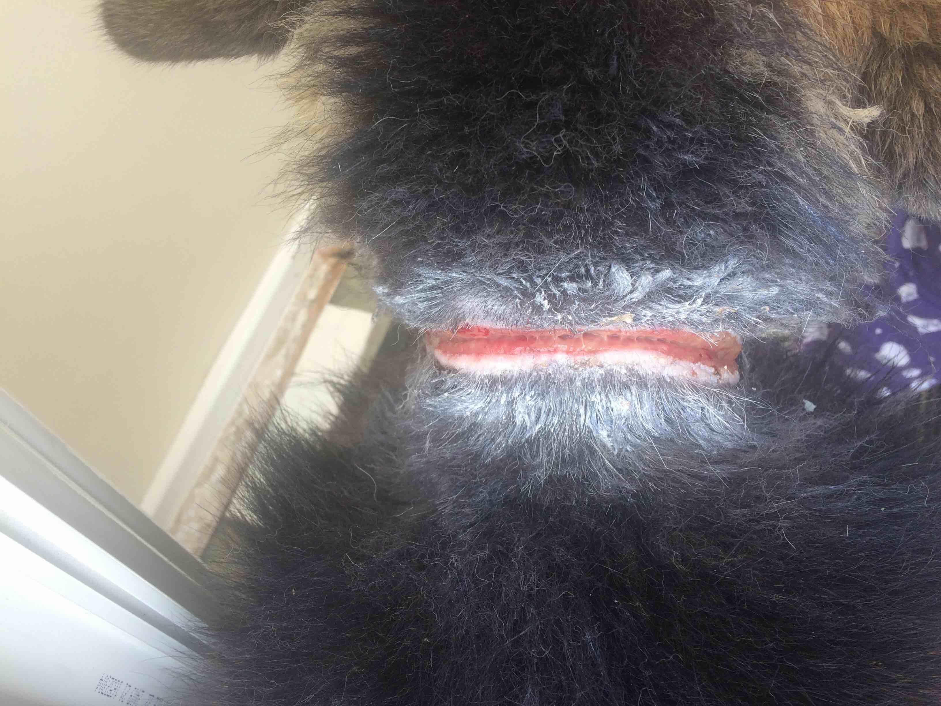 Question details sensitive content