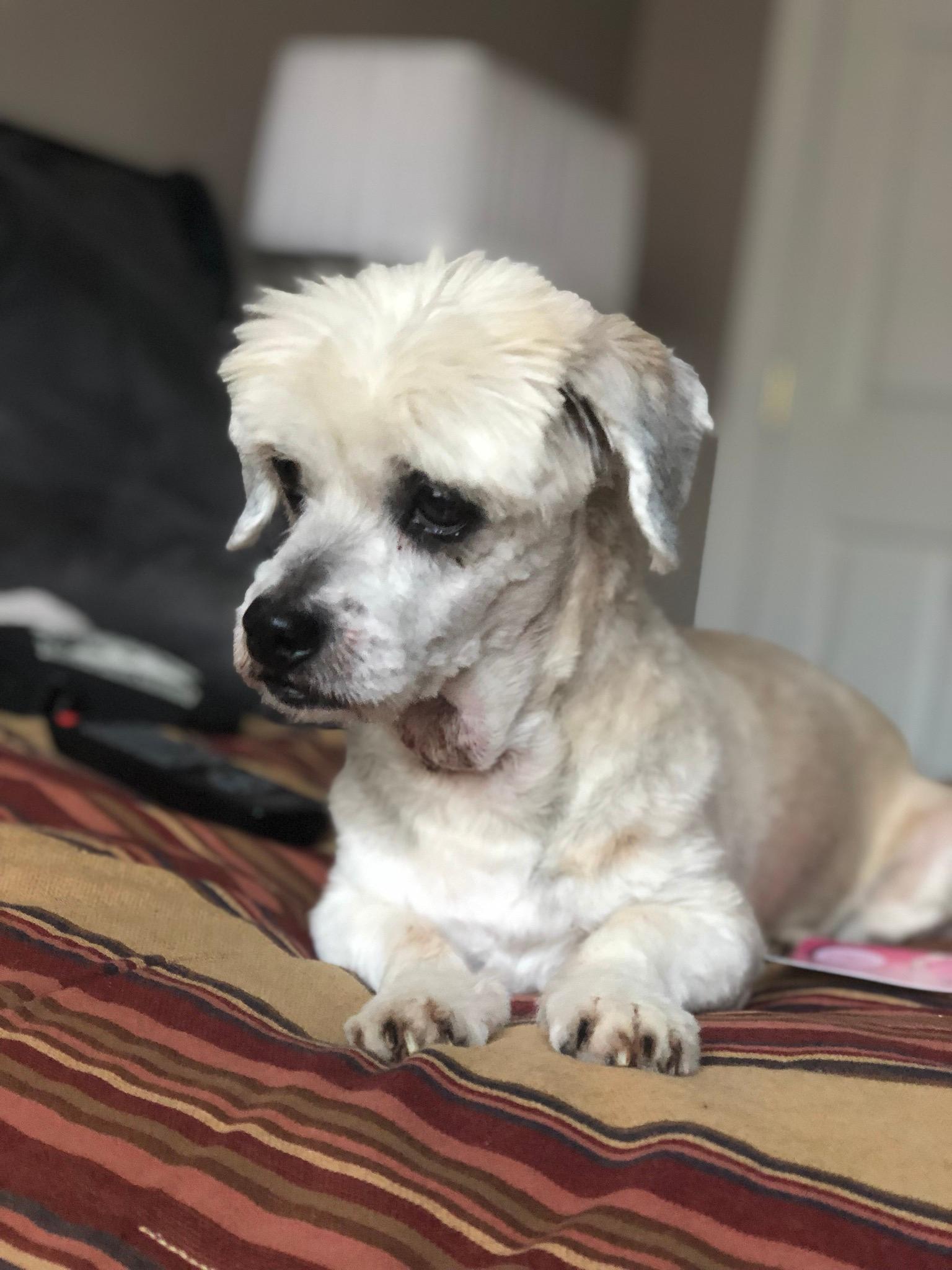 Question details sensitive content