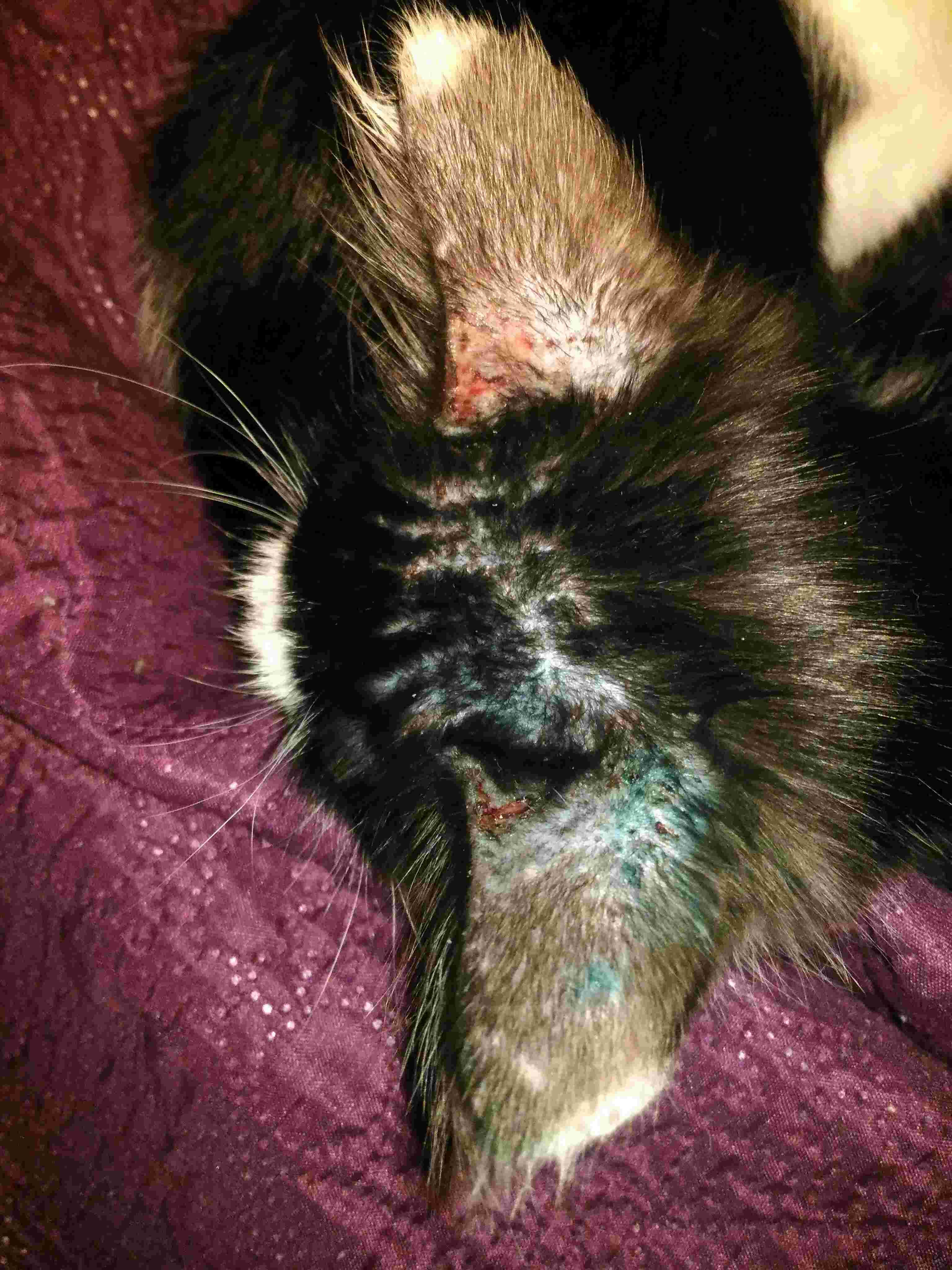 Question details sensitive content