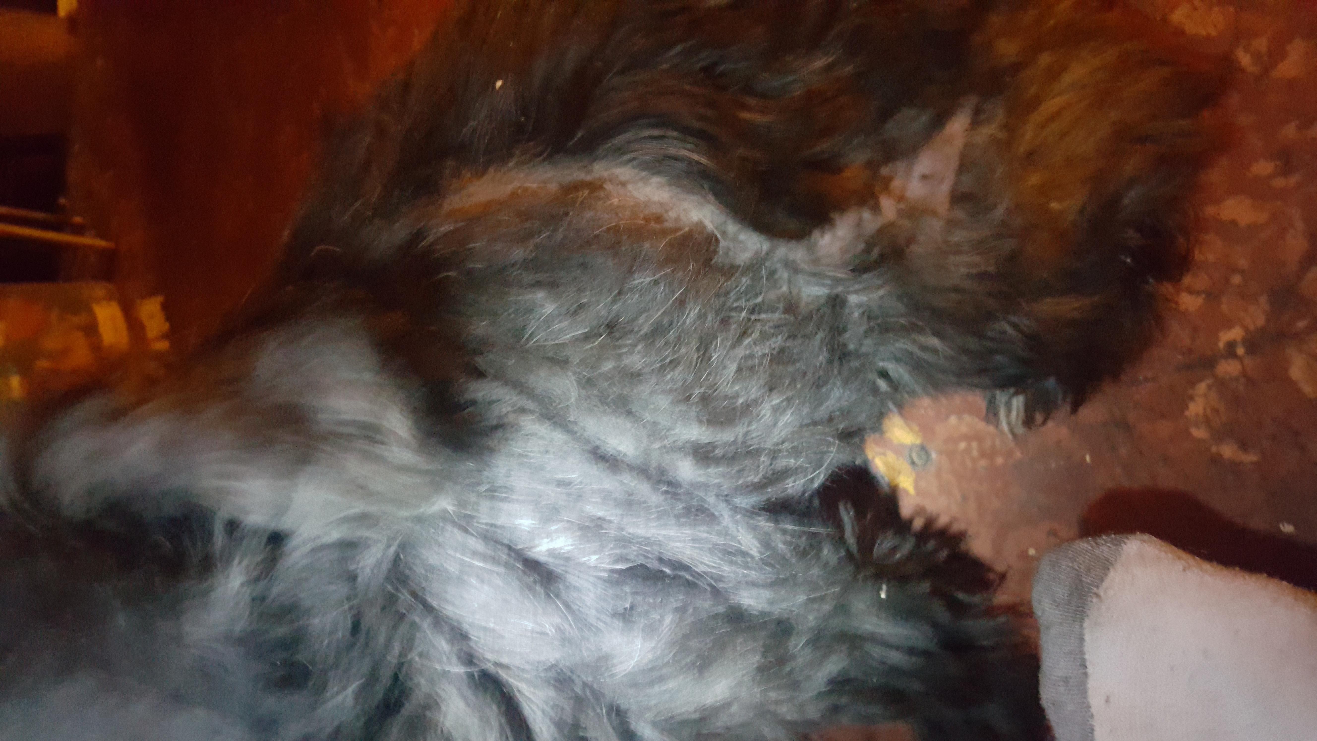 Question details sensitive content